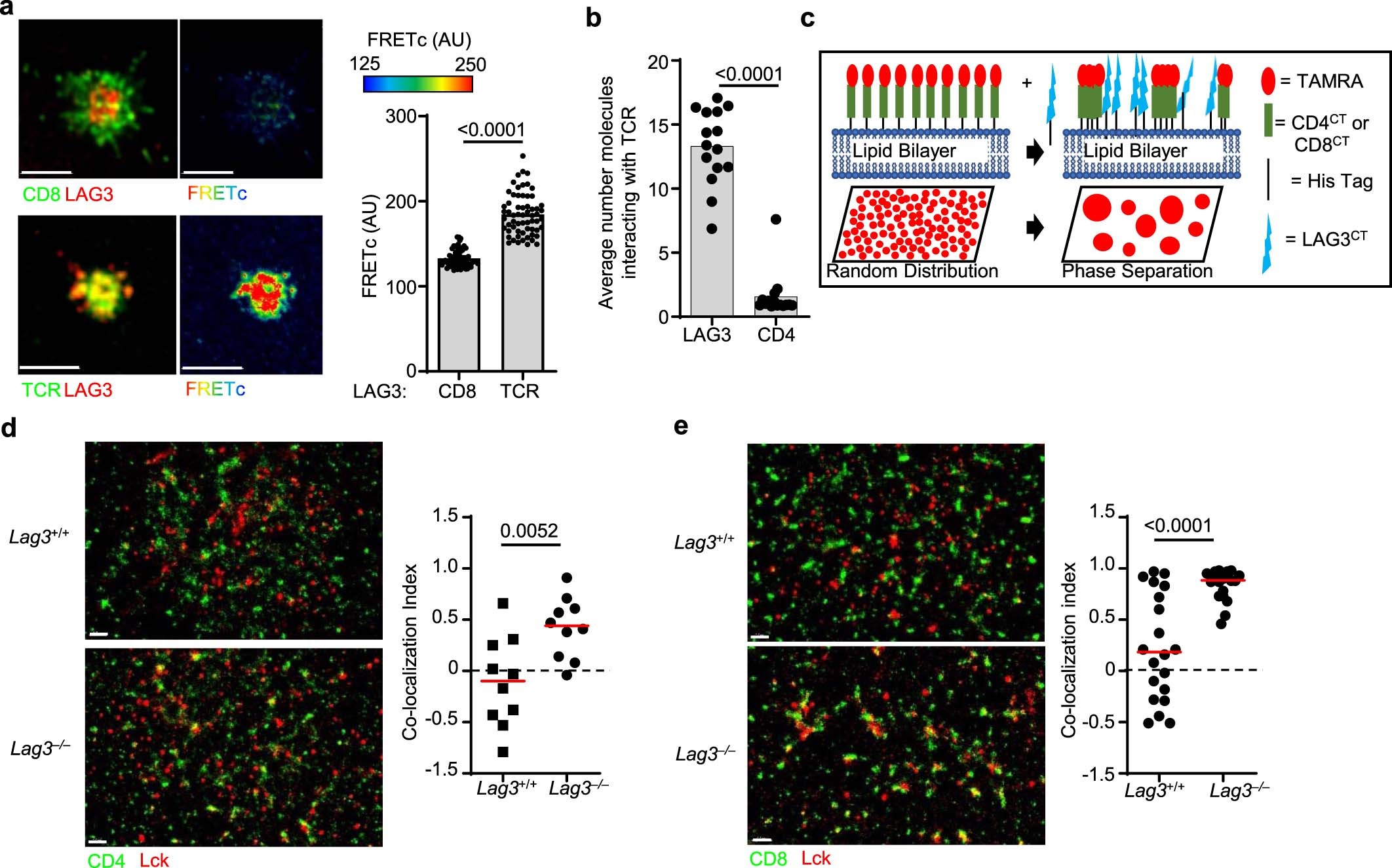 Extended Data Fig. 3