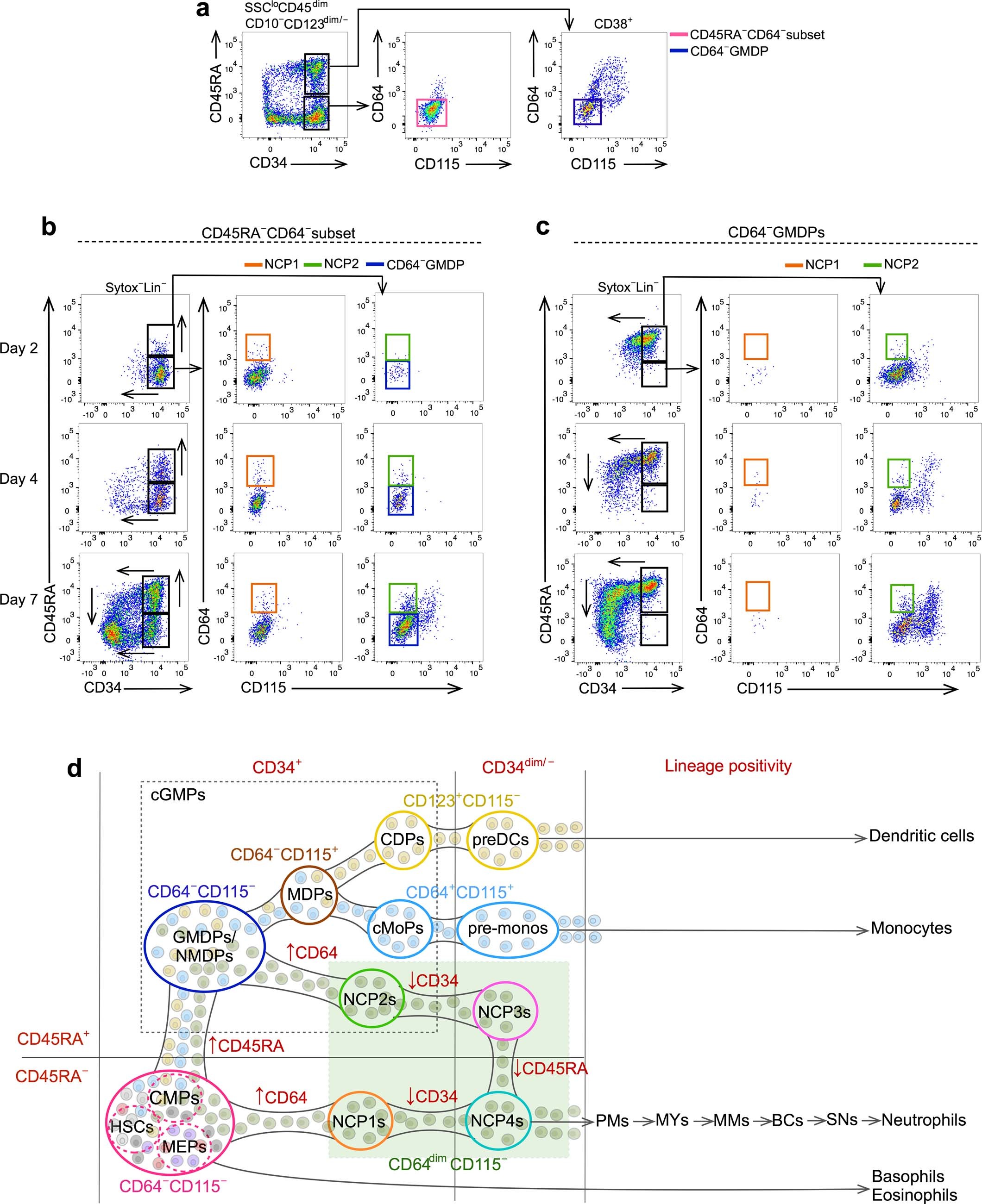 Extended Data Fig. 6