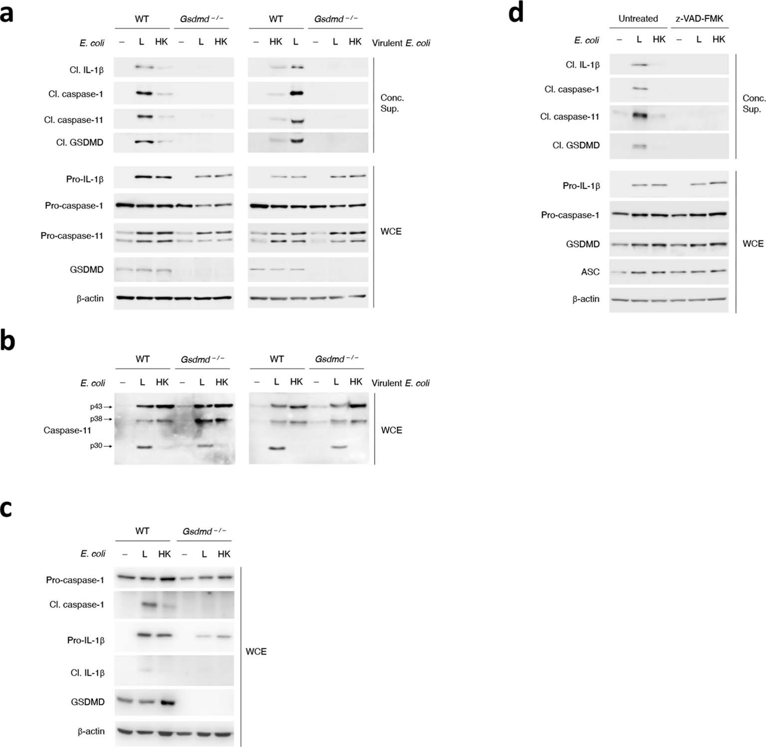 Extended Data Fig. 8