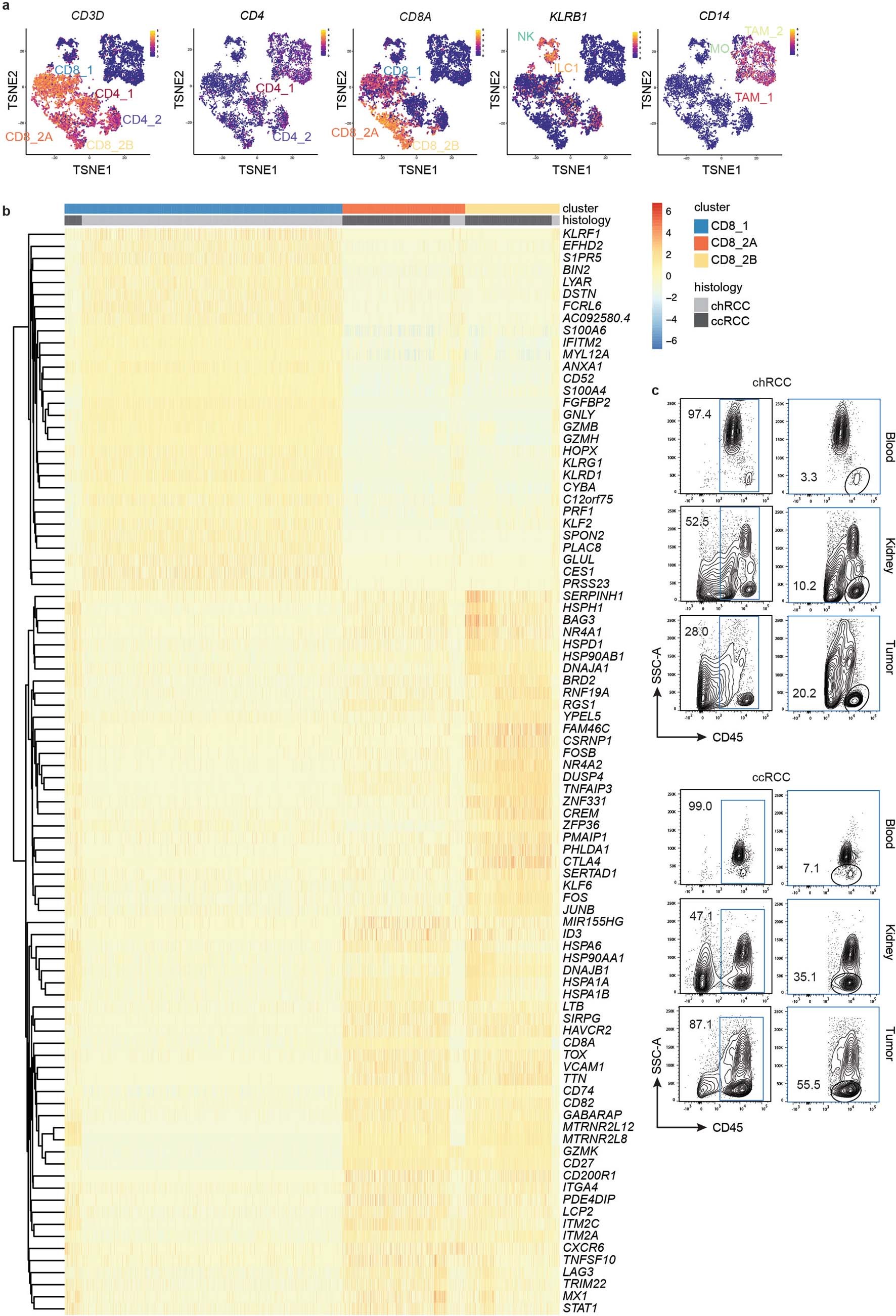 Extended Data Fig. 1: Cluster-defining marker plots for all clusters and heatmap of differential gene expression analysis among the three CD8+ T cell clusters.