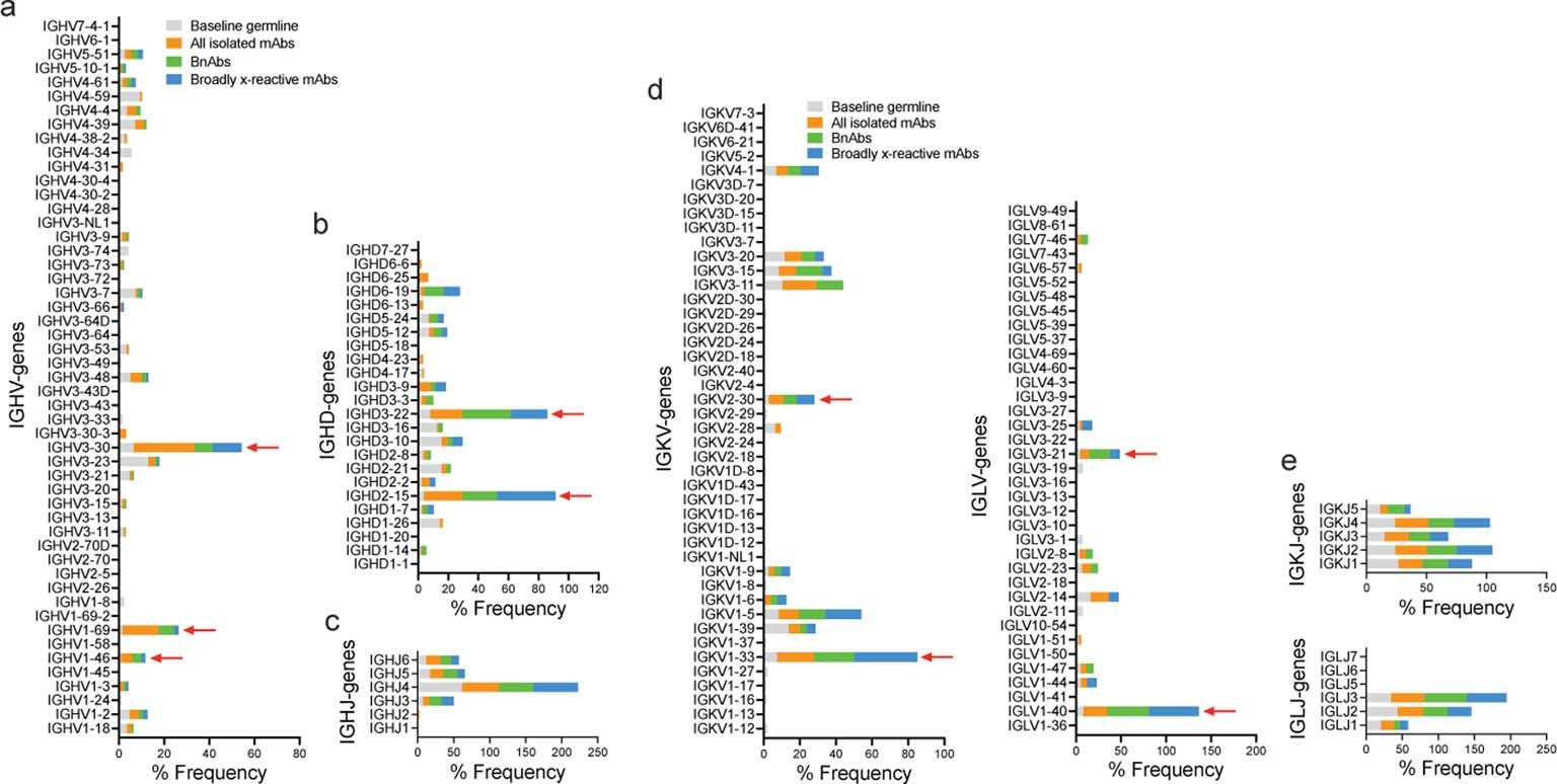 Extended Data Fig. 3: Immunoglobulin heavy and light chain germline gene enrichments in isolated mAbs compared to a reference human germline database.