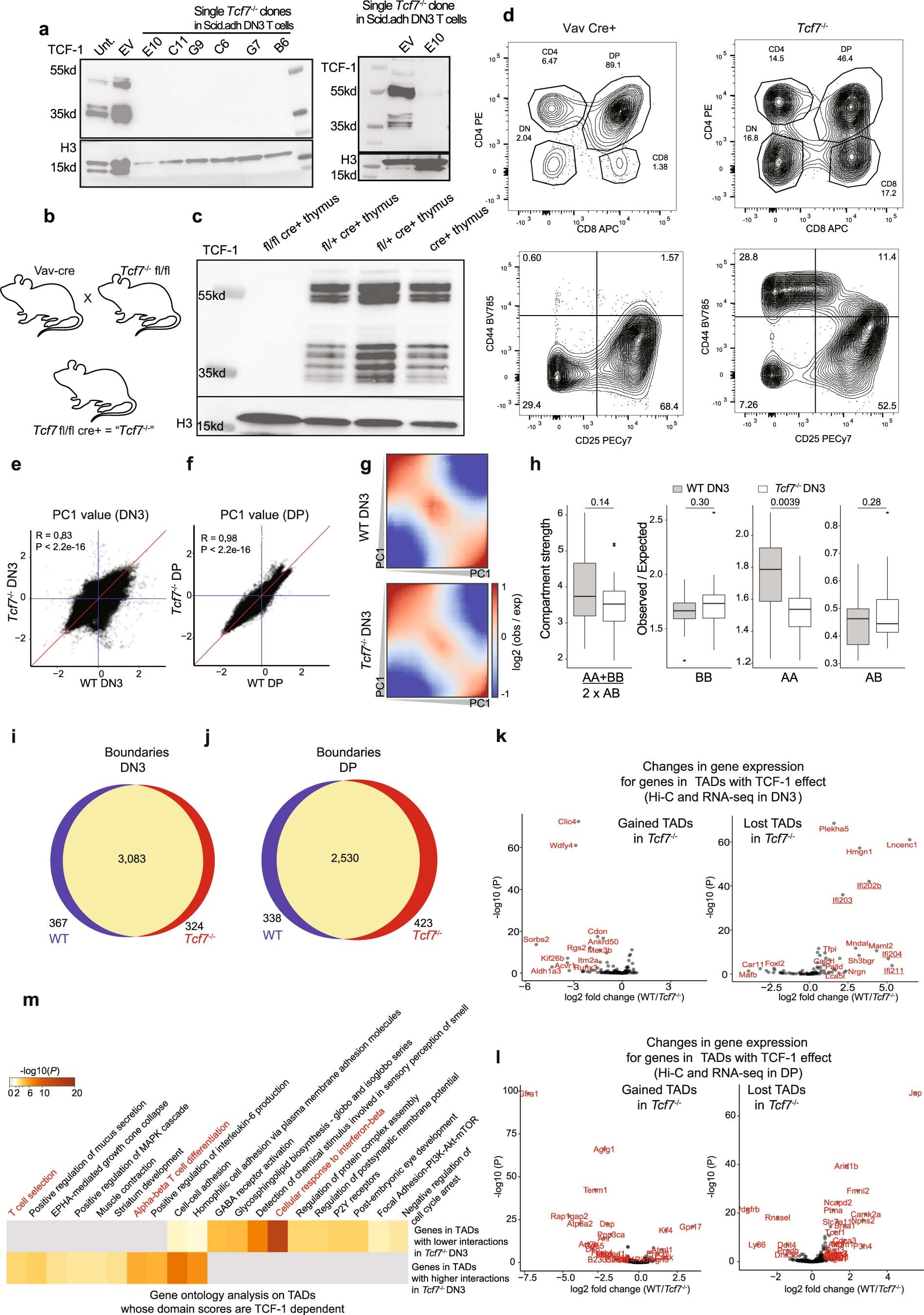 Extended Data Fig. 6