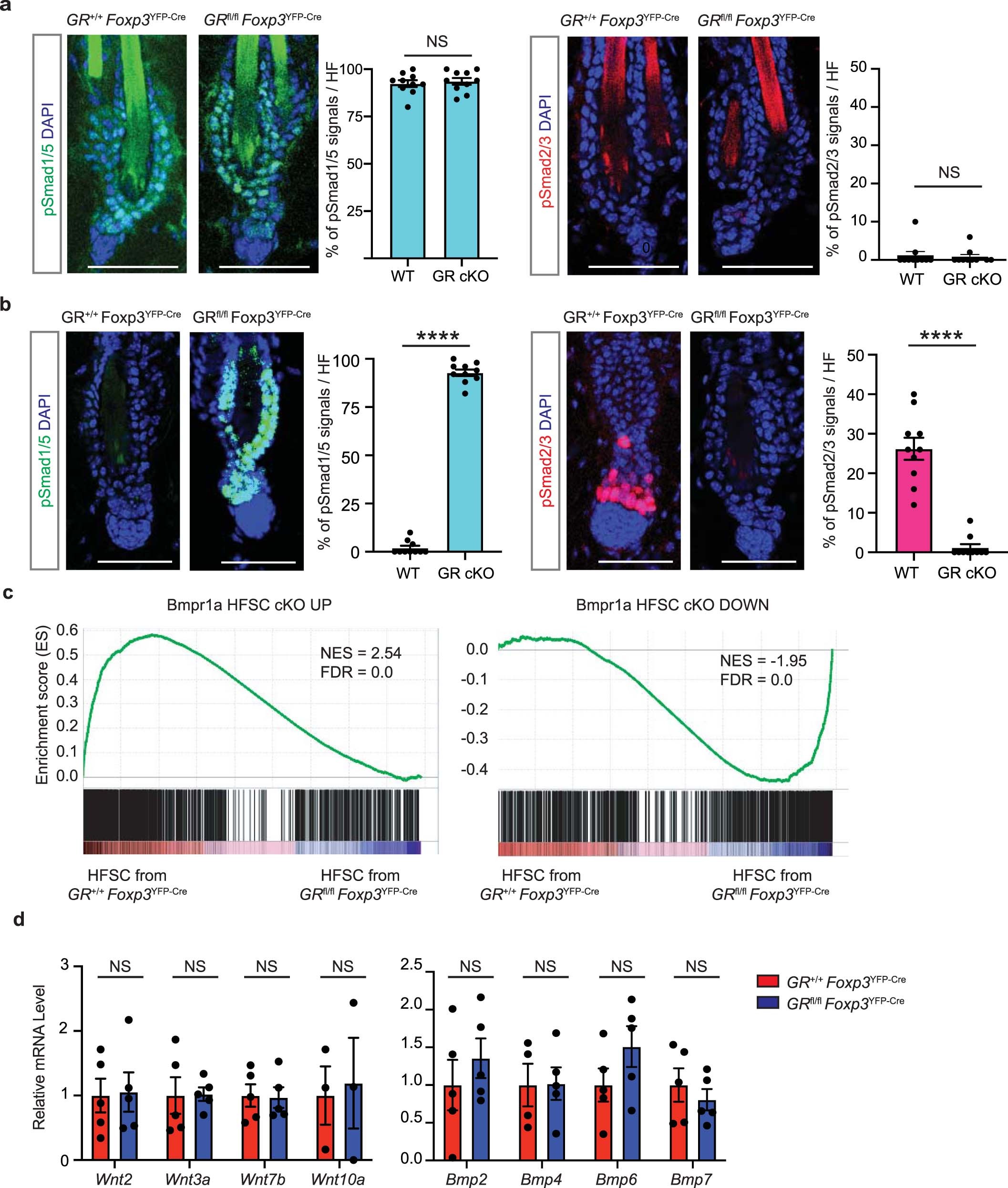 Extended Data Fig. 8