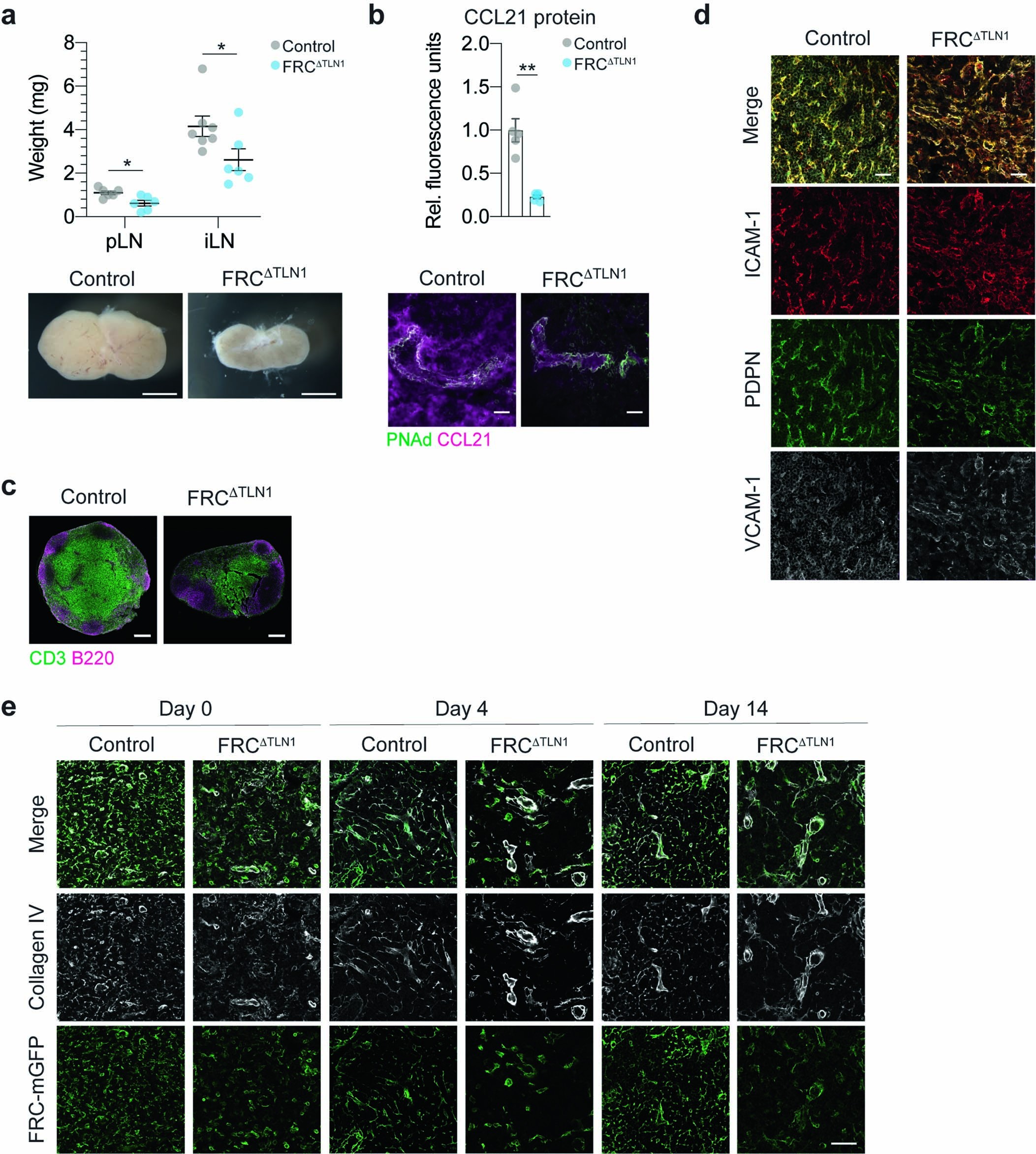 Extended Data Fig. 6