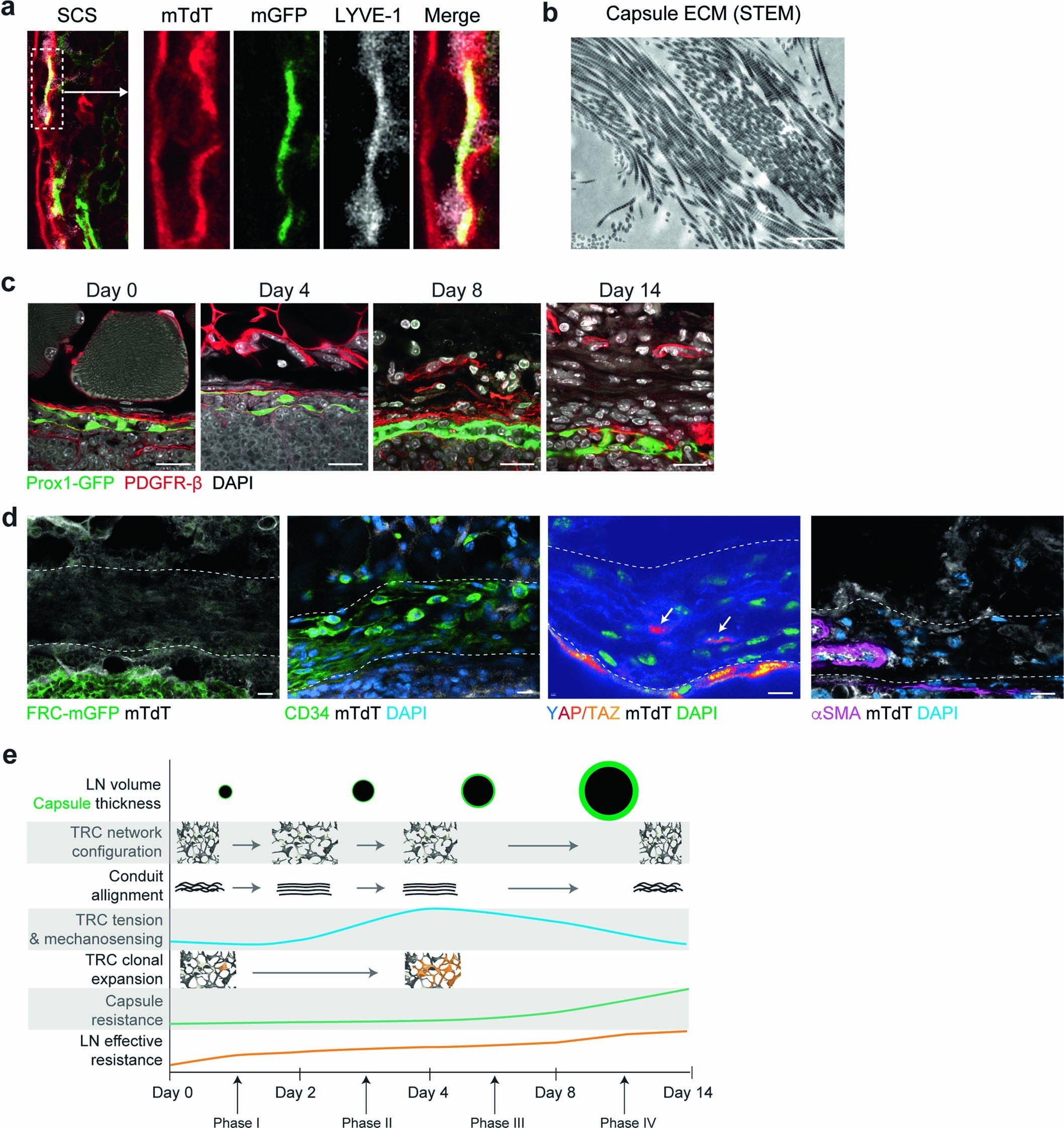 Extended Data Fig. 7