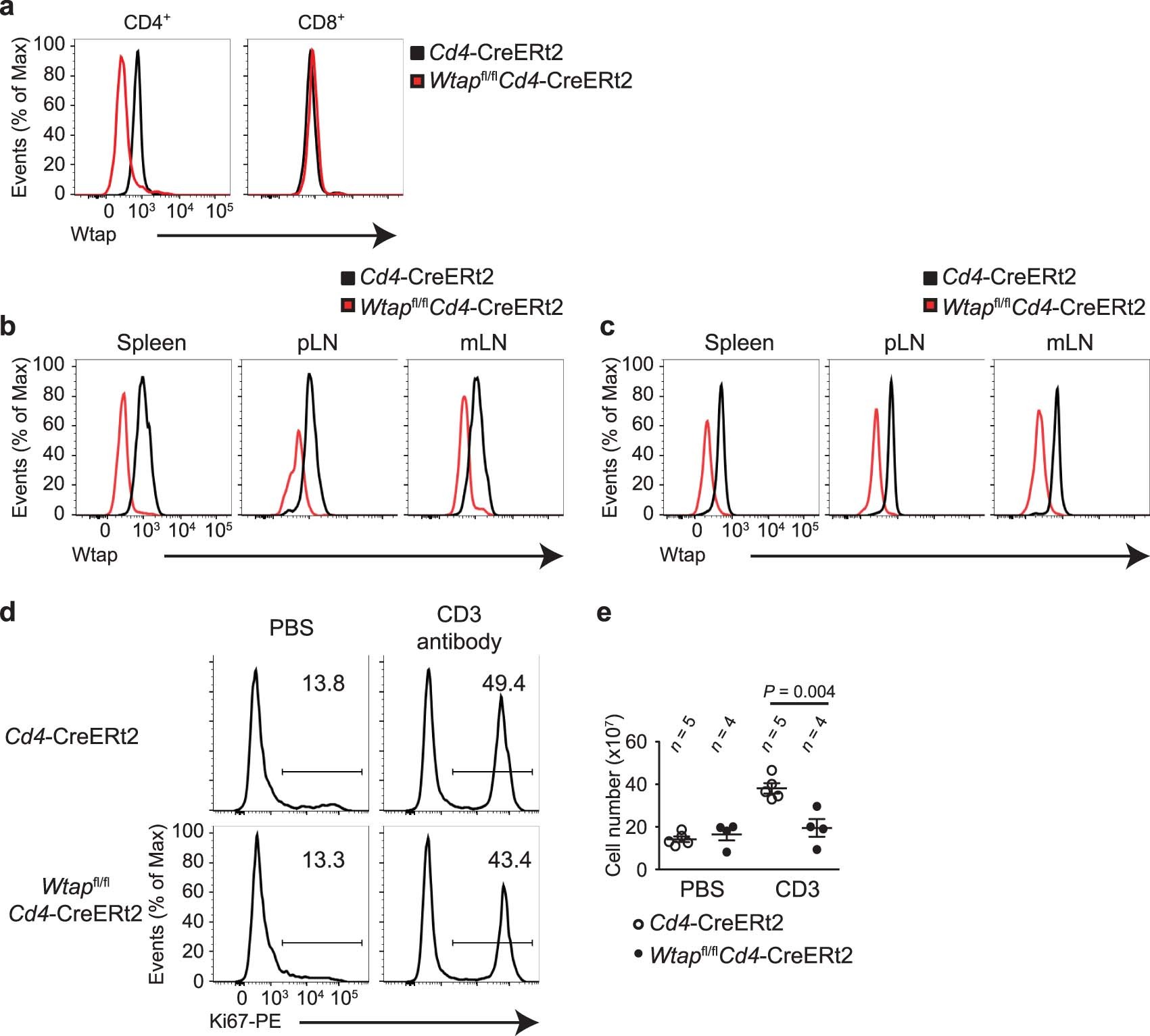 Extended Data Fig. 4: The m6A methyltransferase complex controls T cell survival.
