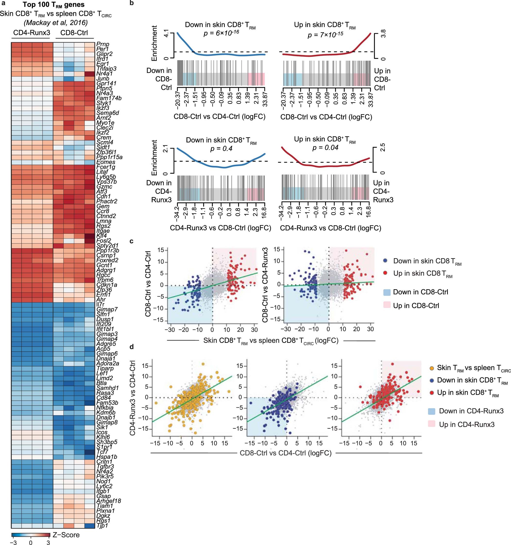 Extended Data Fig. 4: Runx3 induces a CD8+ TRM cell-like signature in CD4+ T cells.