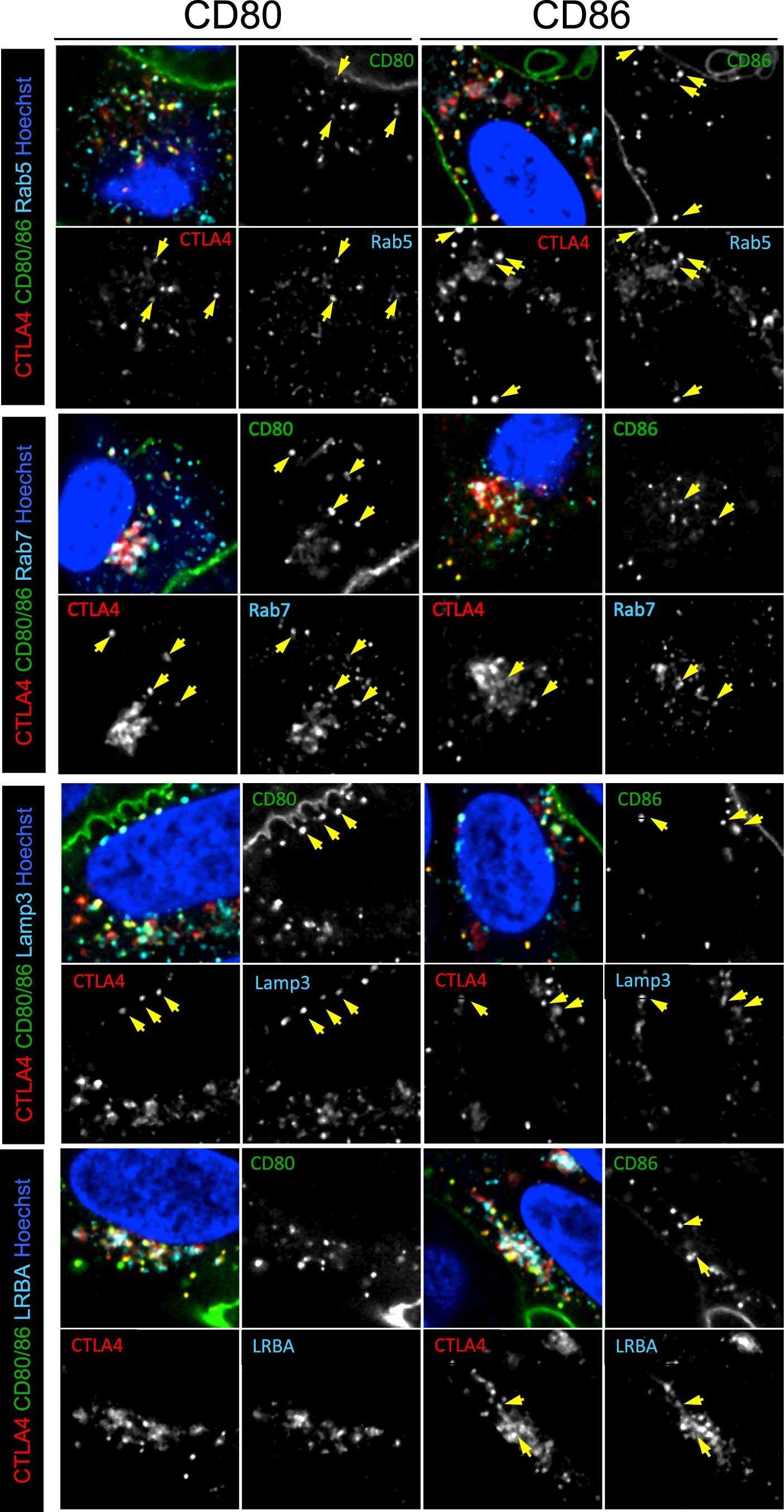Extended Data Fig. 3