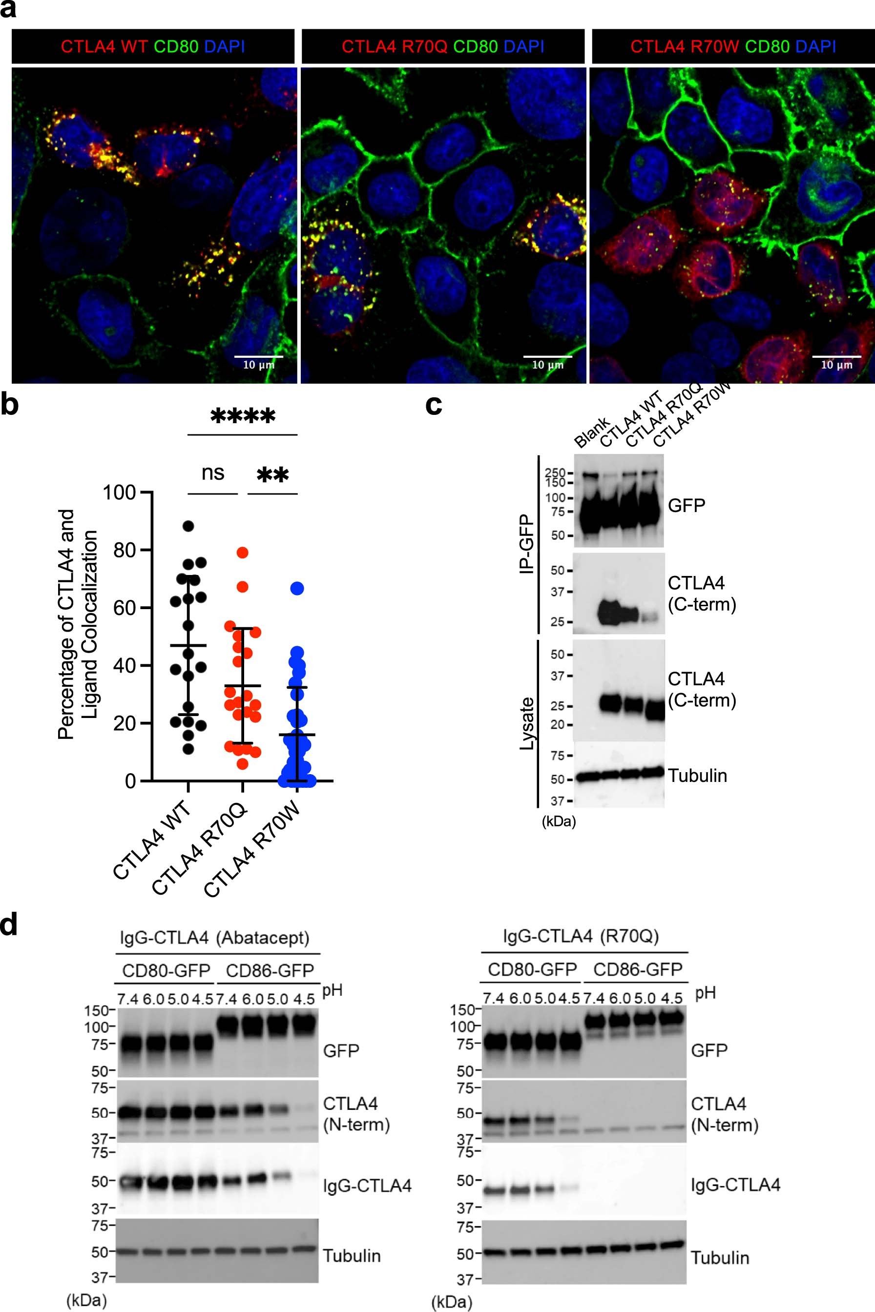 Extended Data Fig. 6