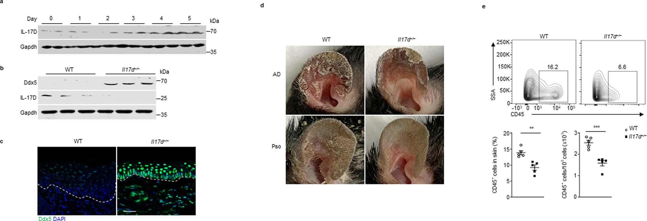 Extended Data Fig. 4