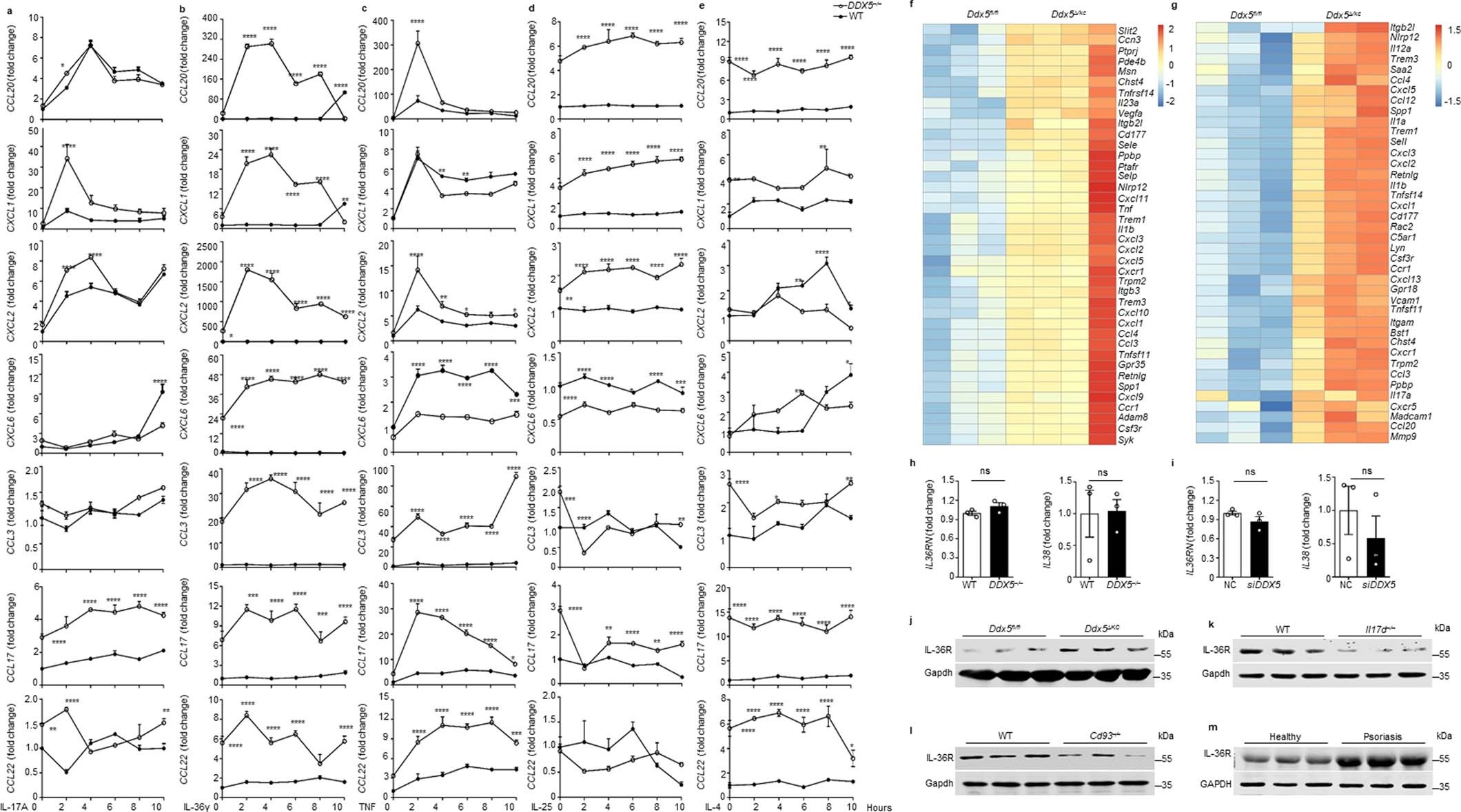 Extended Data Fig. 6