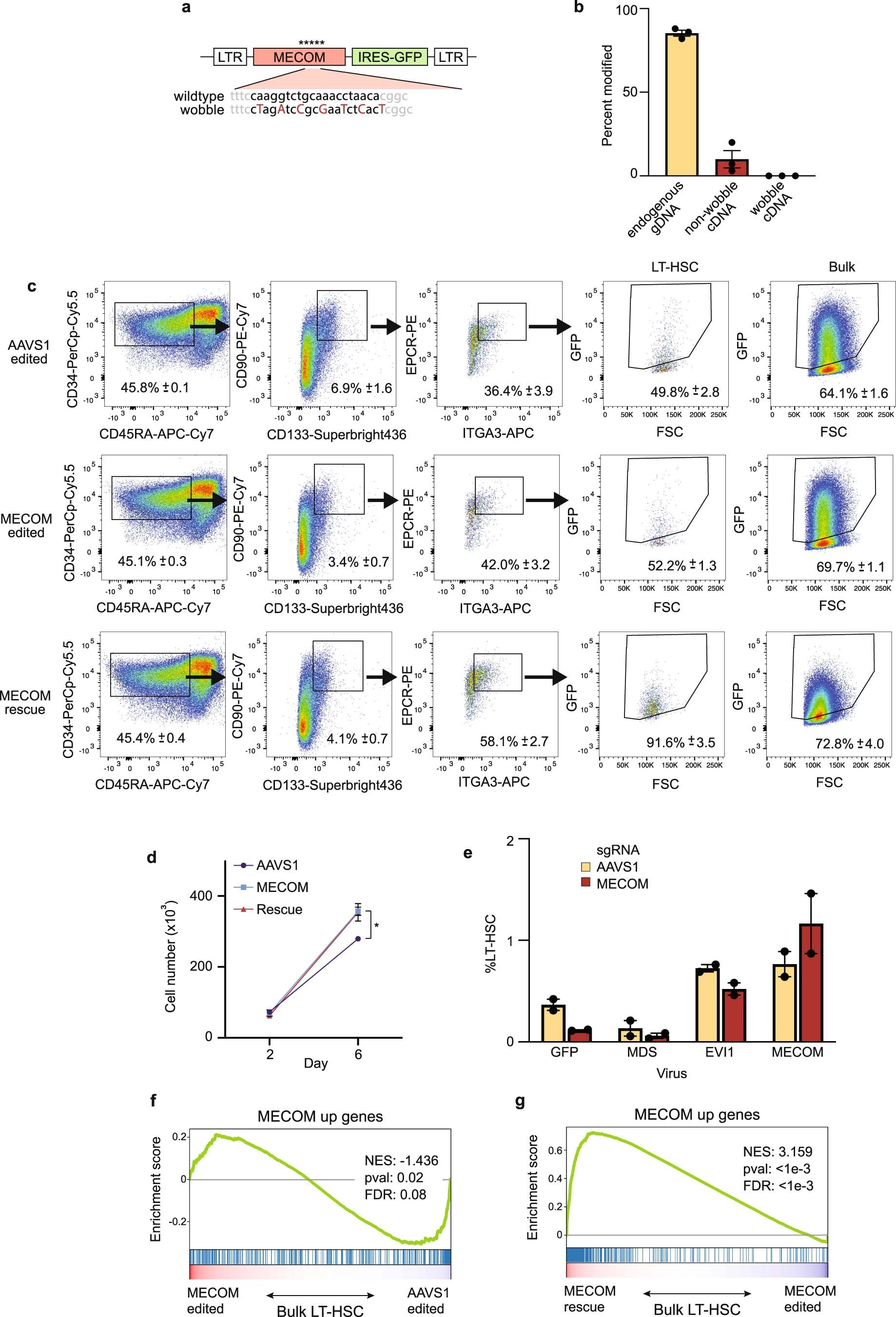 Extended Data Fig. 4: Lentiviral expression of MECOM rescues LT-HSCs but does not reverse upregulation of MECOM up genes.