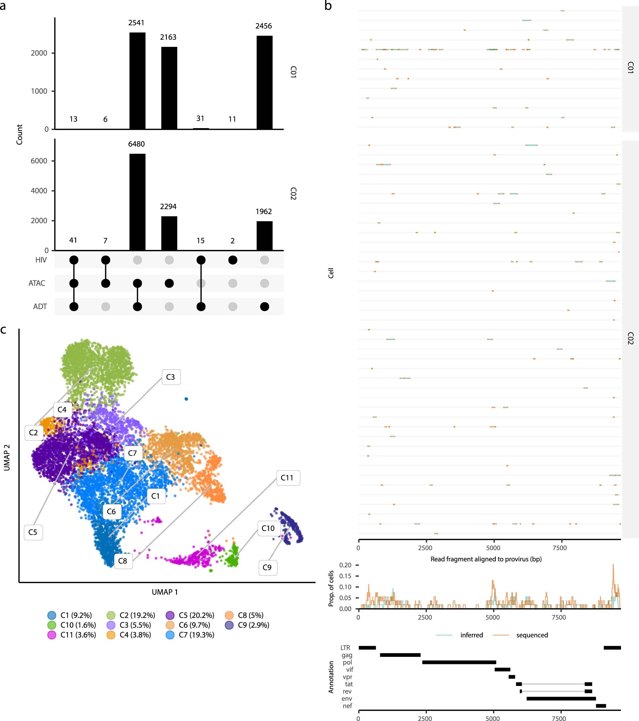 Extended Data Fig. 5: Properties of ASAPseq library during chronic infection.