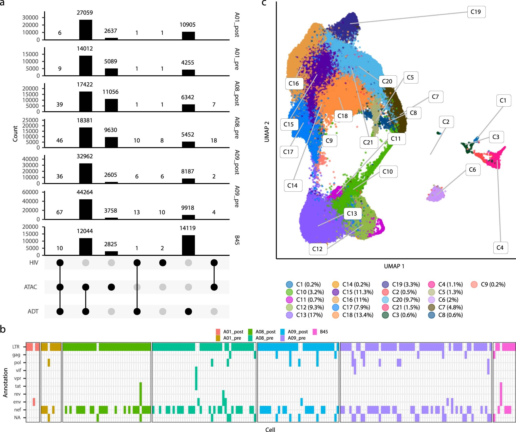 Extended Data Fig. 7: Properties of ASAPseq library during treated infection.