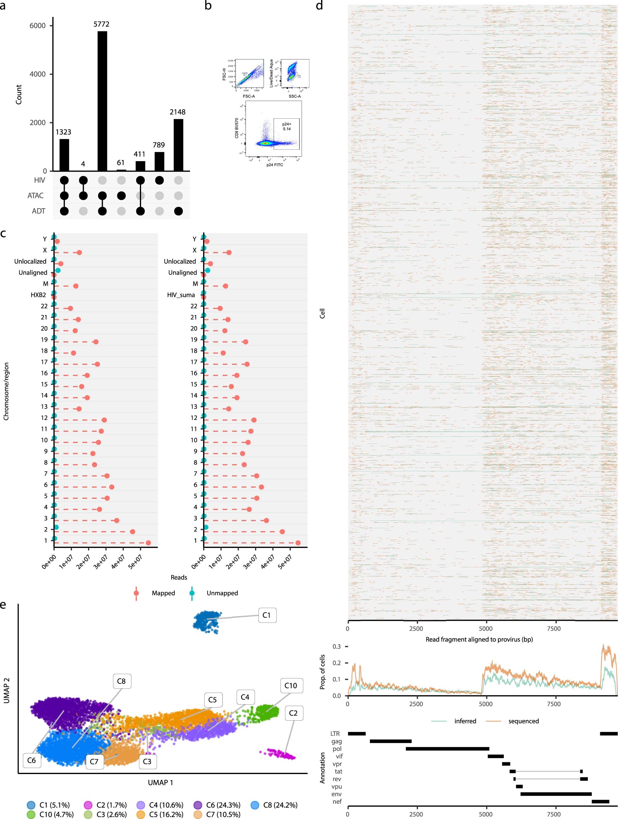 Extended Data Fig. 1: Properties of ASAPseq library for in vitro model.