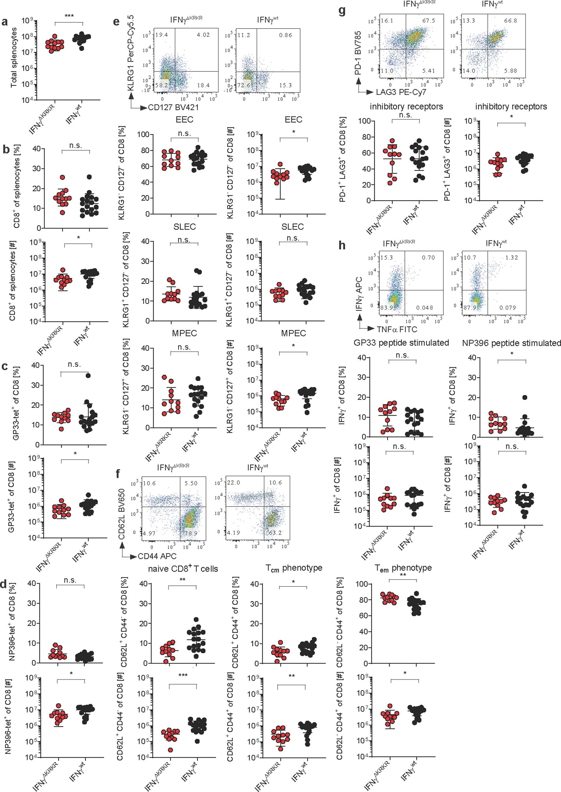 Extended Data Fig. 6: Phenotype of CD8 T cells in IFNγ∆KRKR mice after LCMV infection.