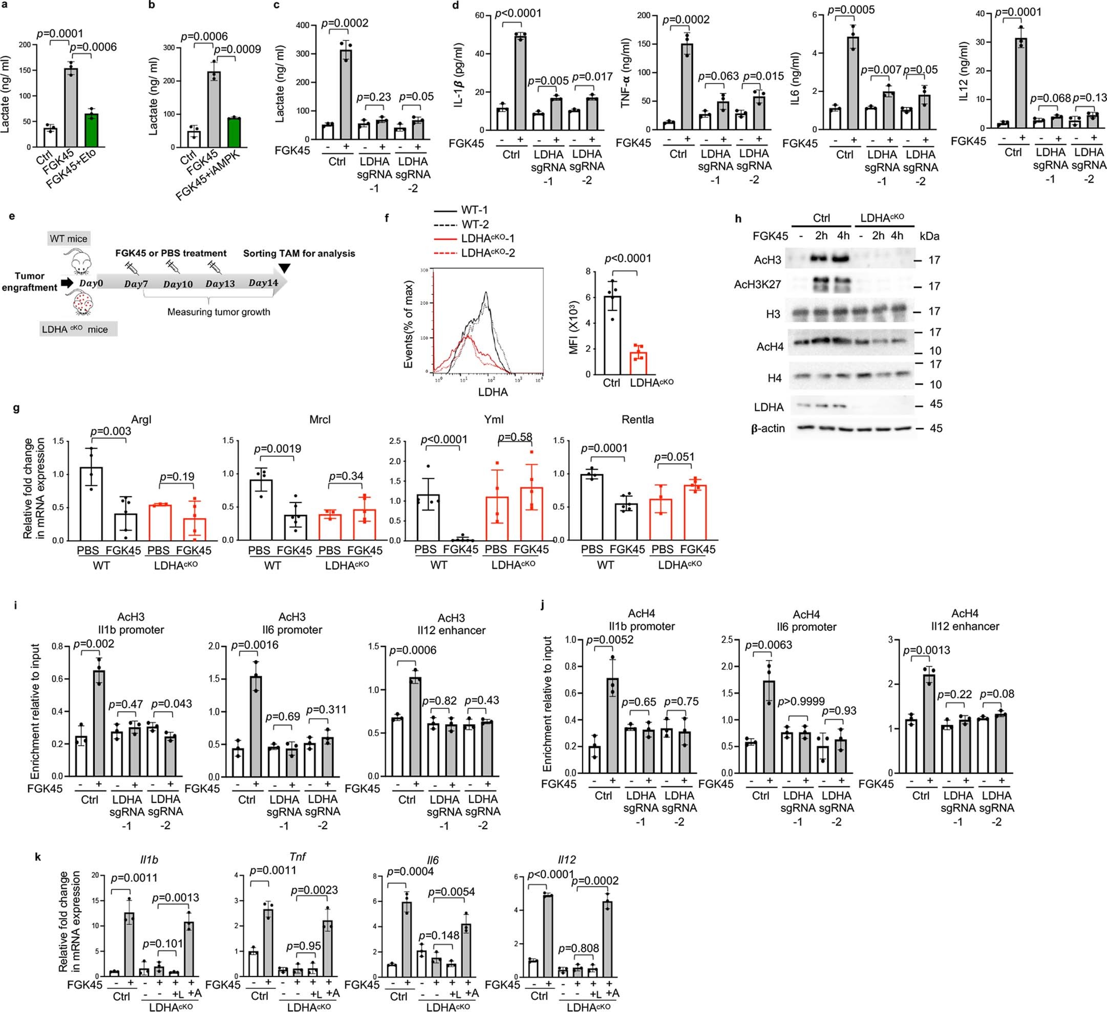 Extended Data Fig. 5