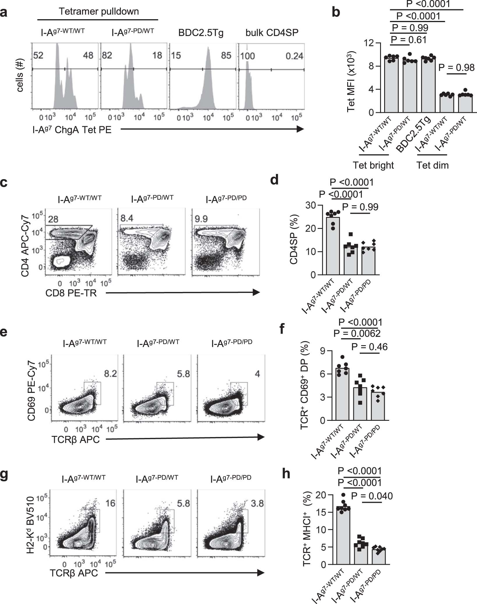 Extended Data Fig. 4: Expression of I-Ag7-PD induces negative selection of tetramerbright IAg7-ChgAHIP reactive thymocytes at the DP to SP transition.