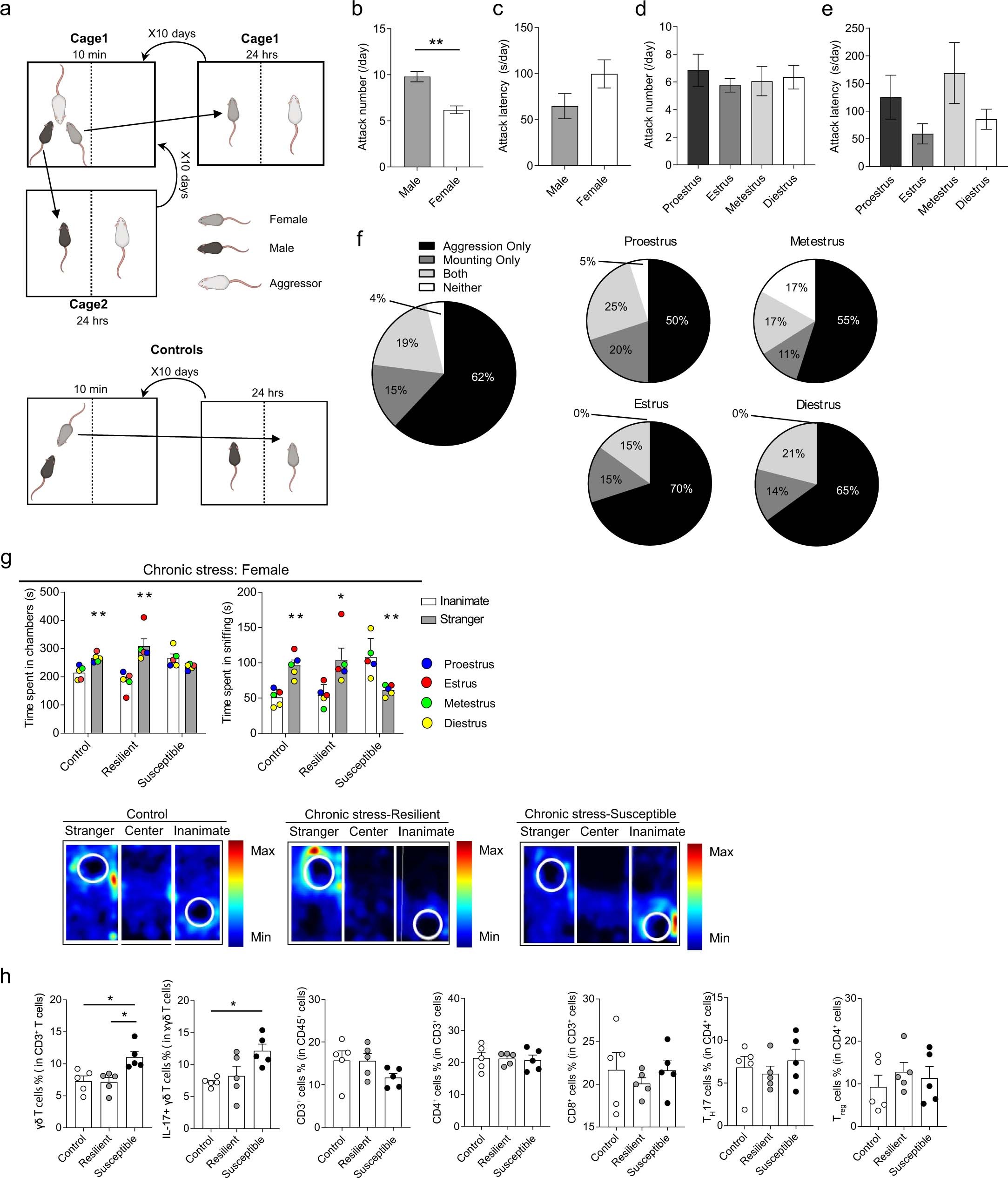 Extended Data Fig. 4: CSDS-induced changes in T cells and social avoidance in female mice.