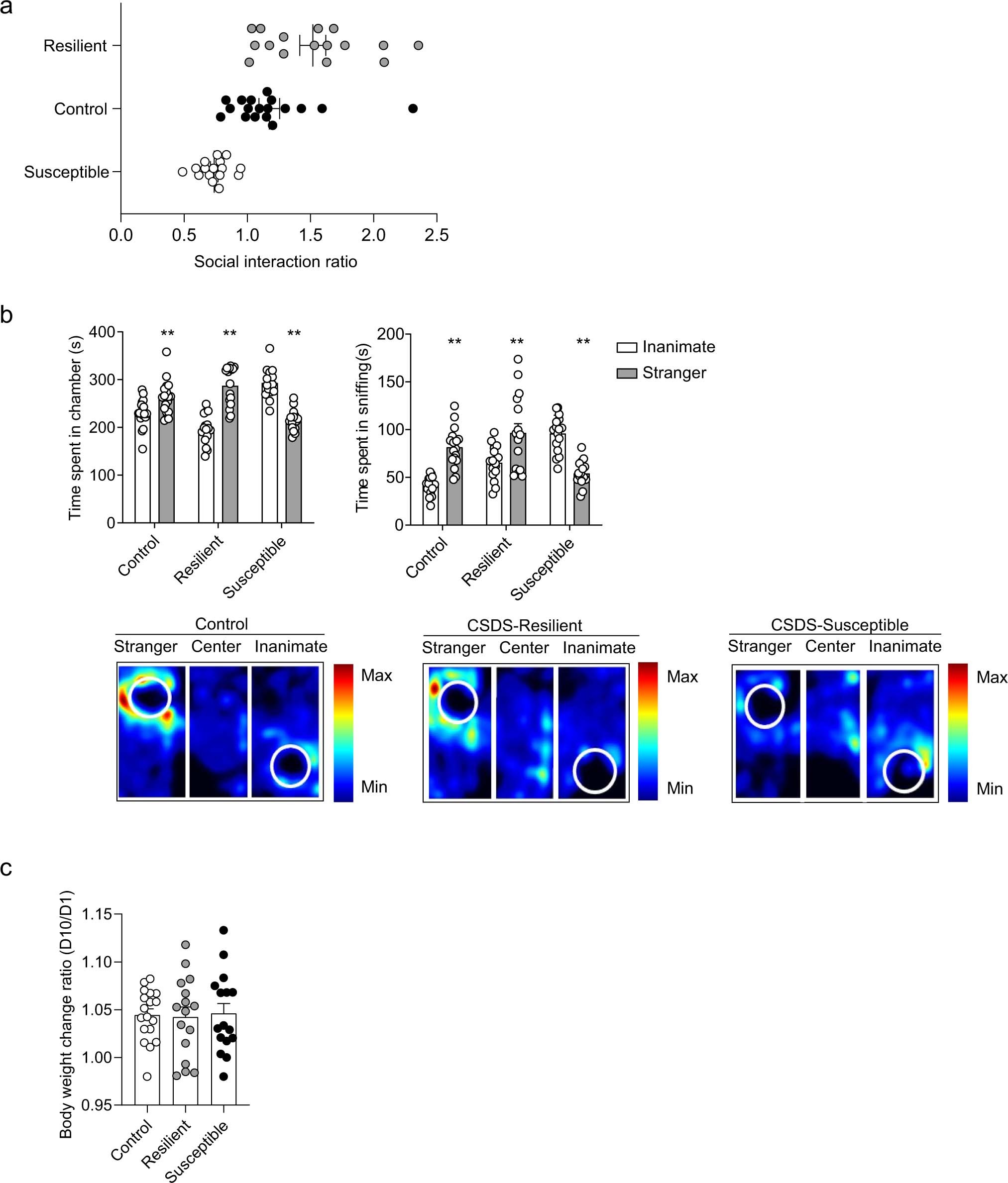 Extended Data Fig. 1: CSDS-induced social-avoidance phenotype assessed using a three-chamber social interaction test.