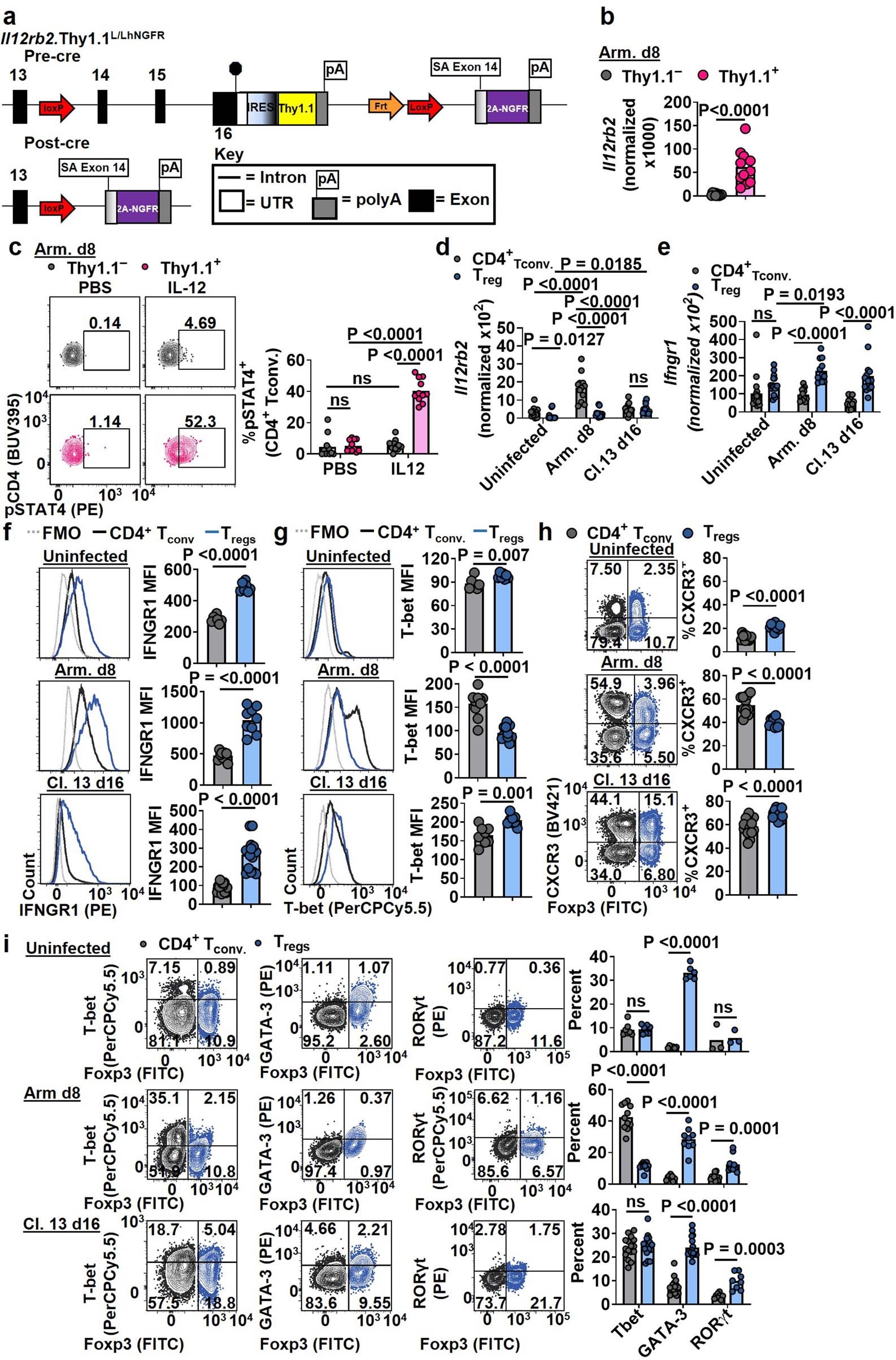 Extended Data Fig. 2: TH1 signatures in Treg cells and CD4+ Tconv cells during acute and chronic infection.