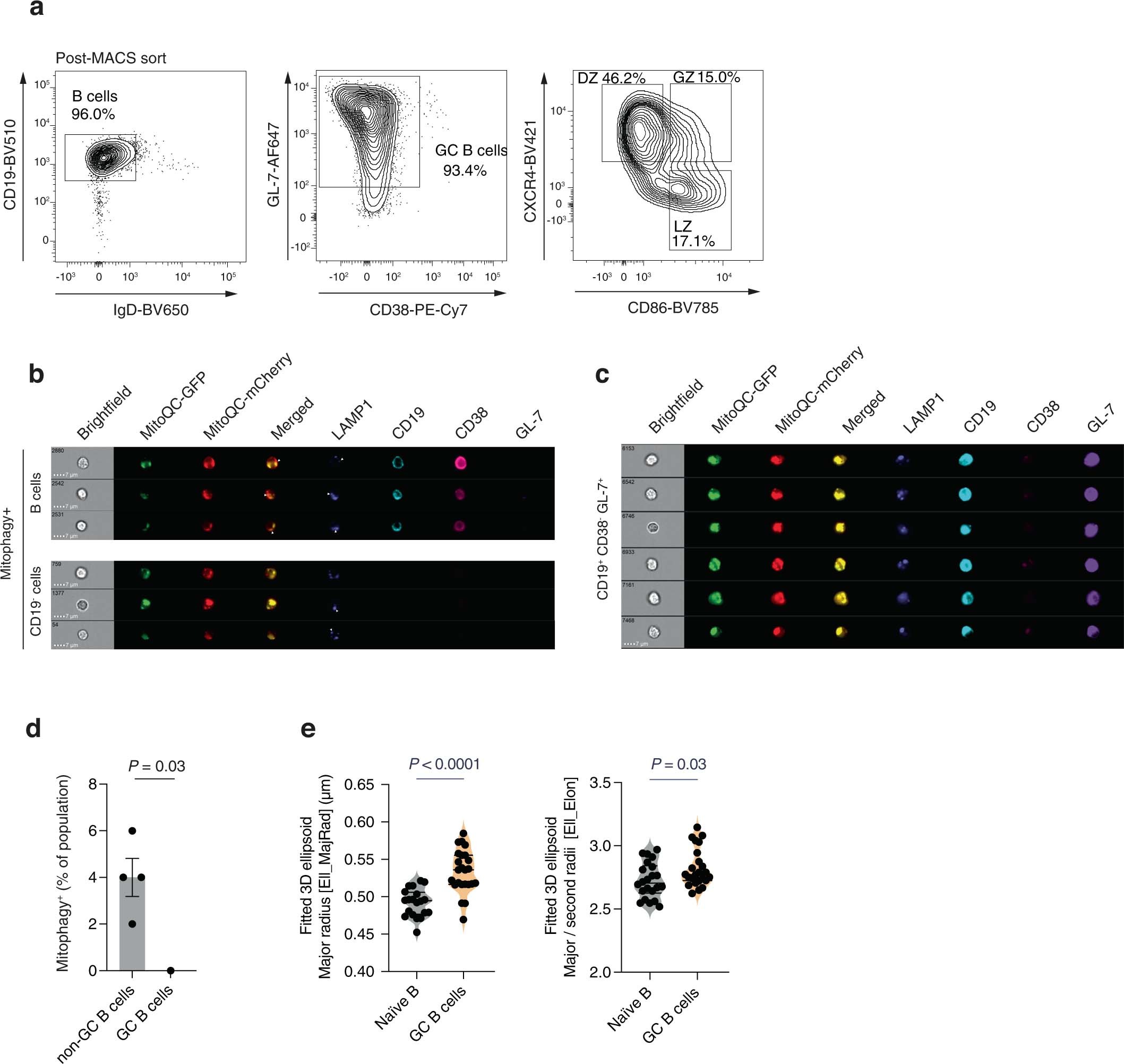 Extended Data Fig. 1