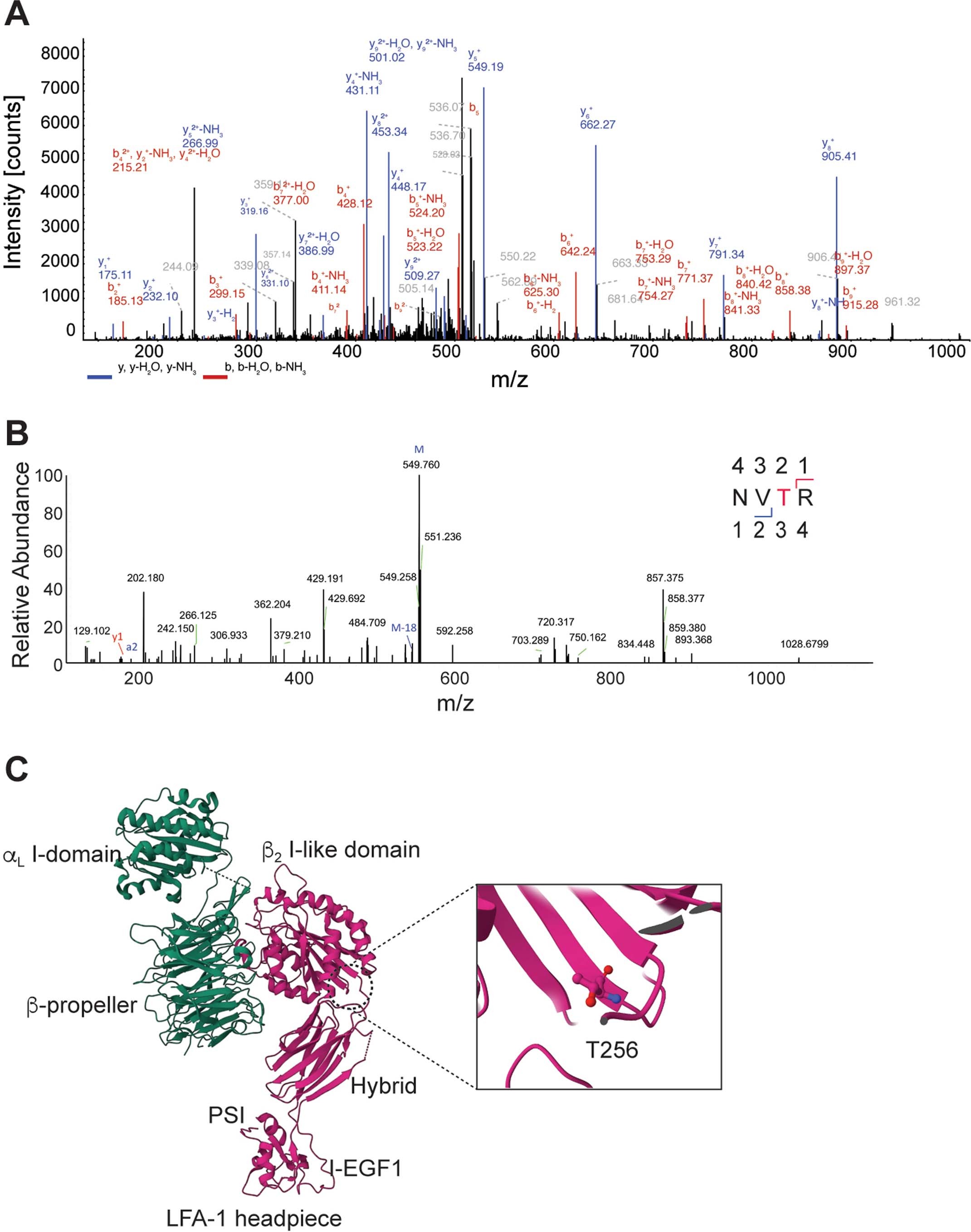 Extended Data Fig. 4: Identification of CD18.