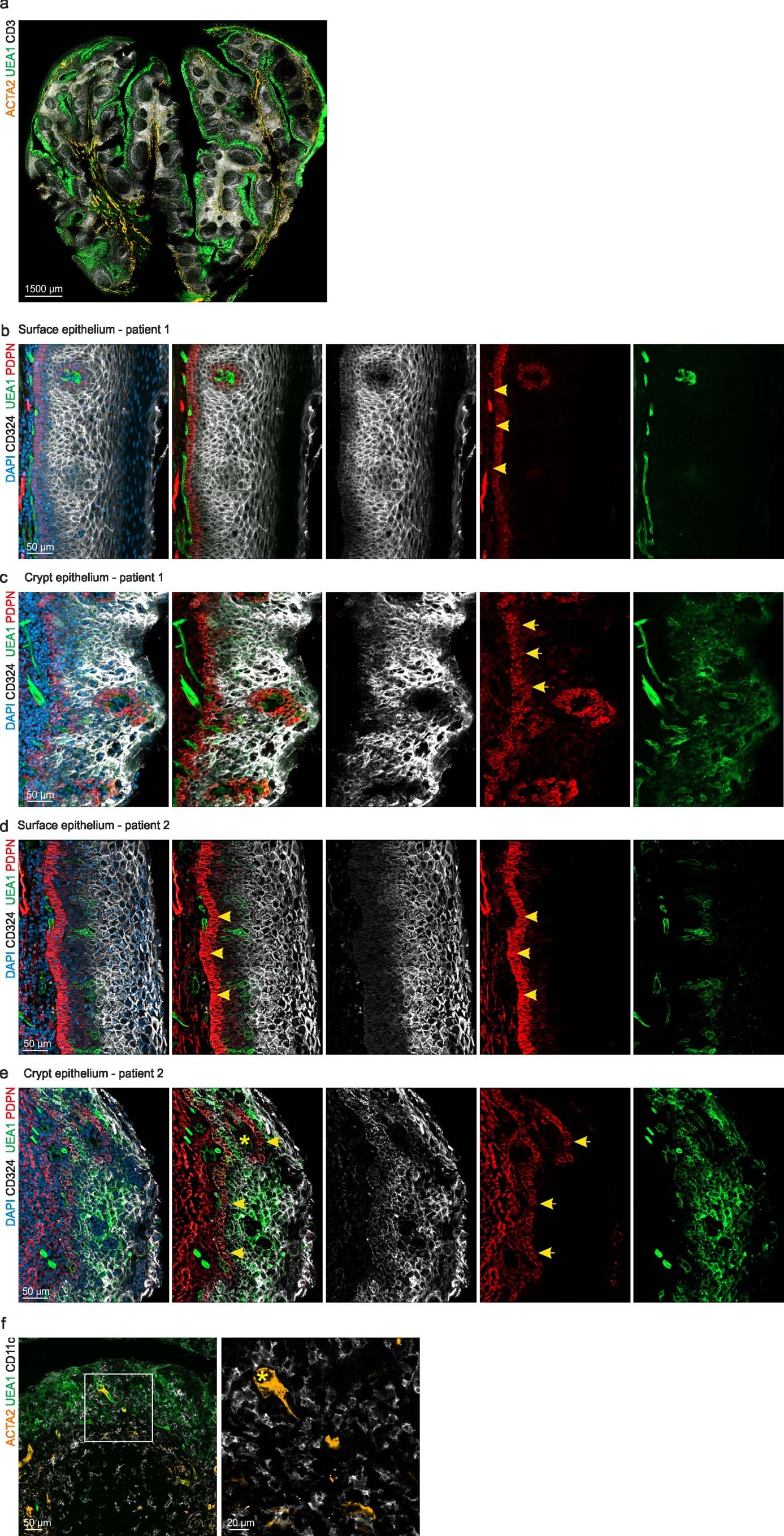 Extended Data Fig. 1