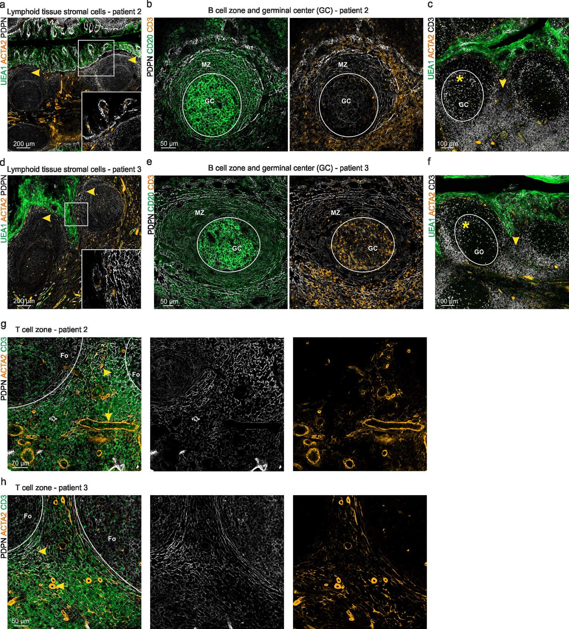 Extended Data Fig. 2
