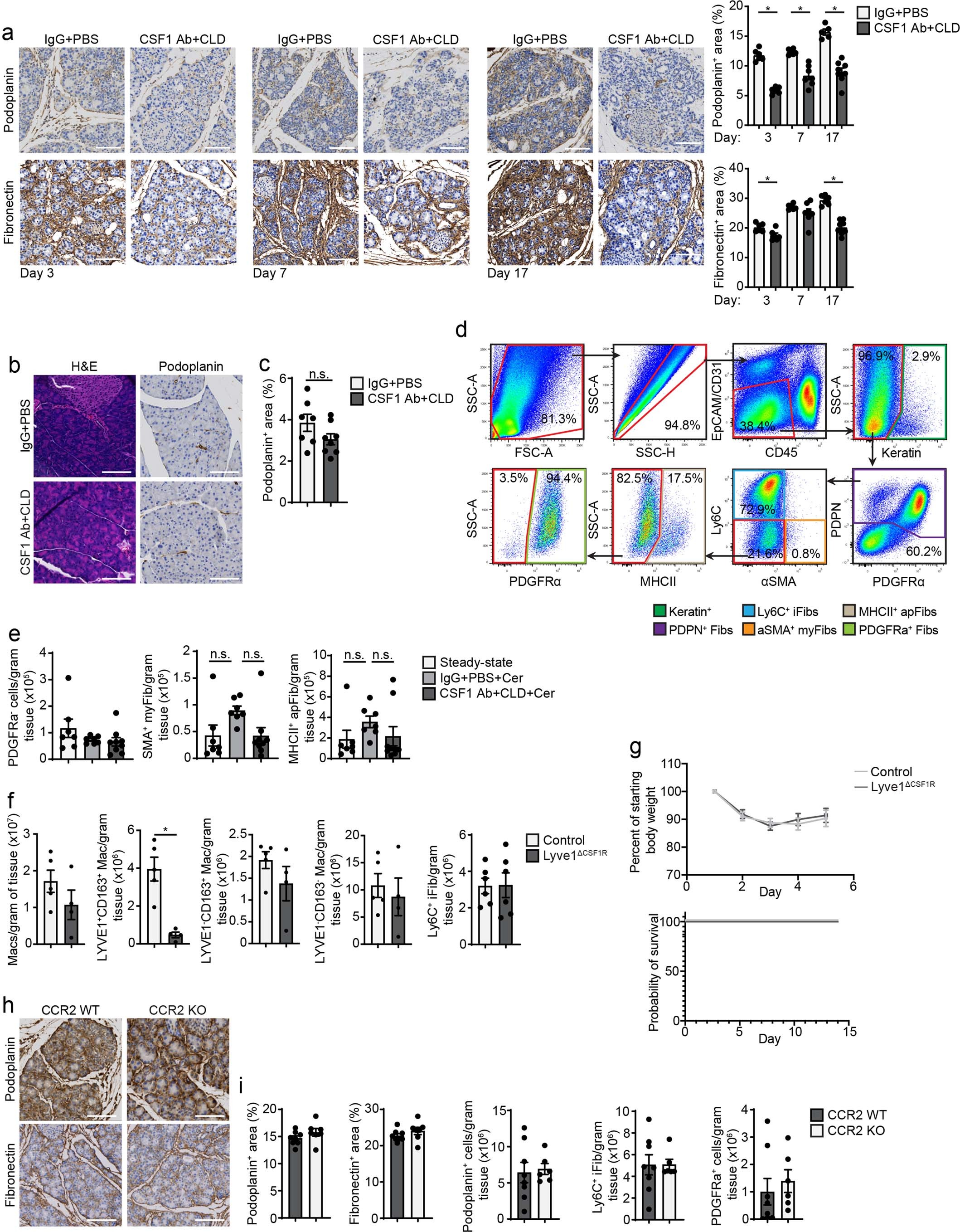 Extended Data Fig. 8