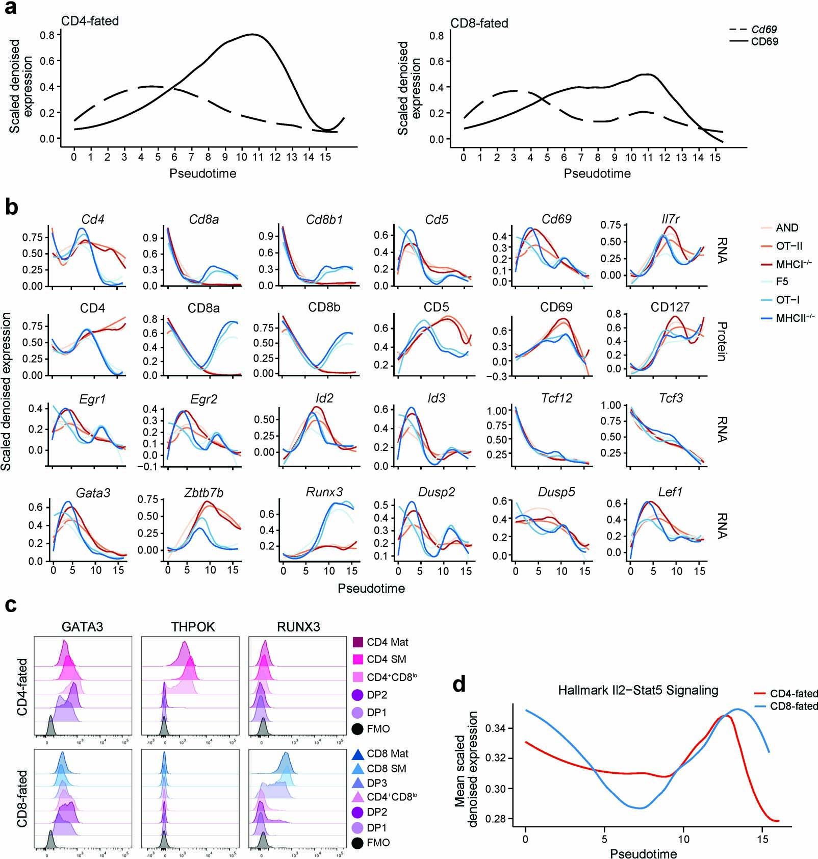 Extended Data Fig. 3: CITE-seq and fluorescence-based flow cytometry reveal the timing of expression for transcription factors and other features of CD4-CD8 T cell development.