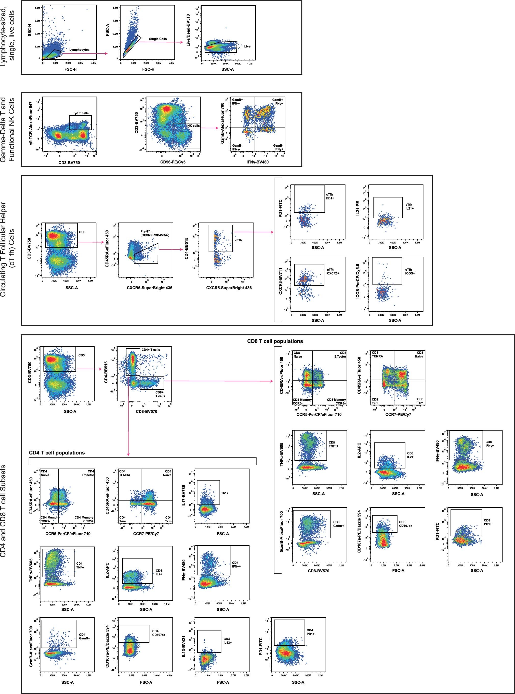 Extended Data Fig. 4: Lymphoid and ICS panel gating strategy.