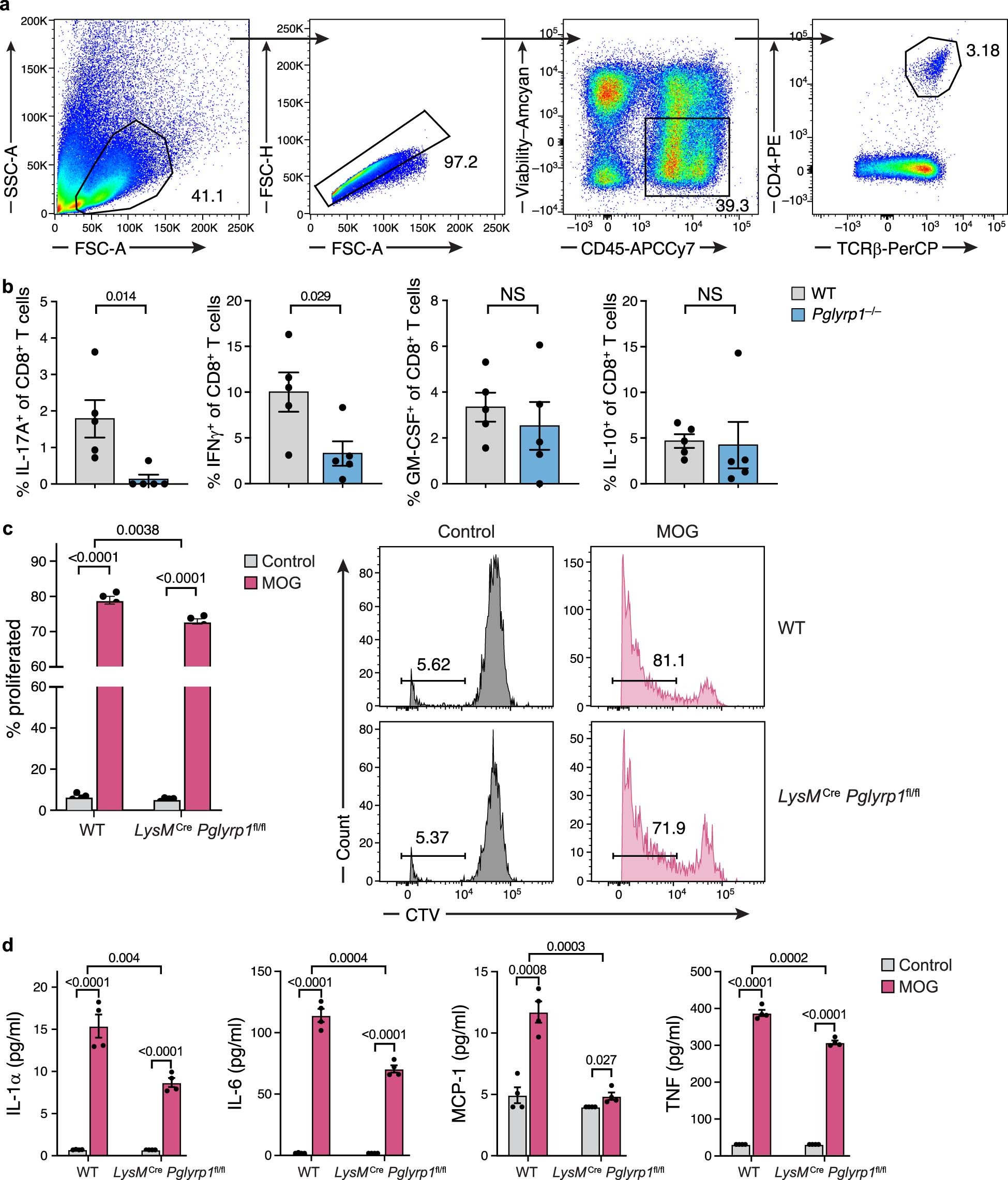 Extended Data Fig. 7: Analysis of CD8+ T cell phenotype and antigen-presentation of LysMCre Pglyrp1fl/fl splenocytes.