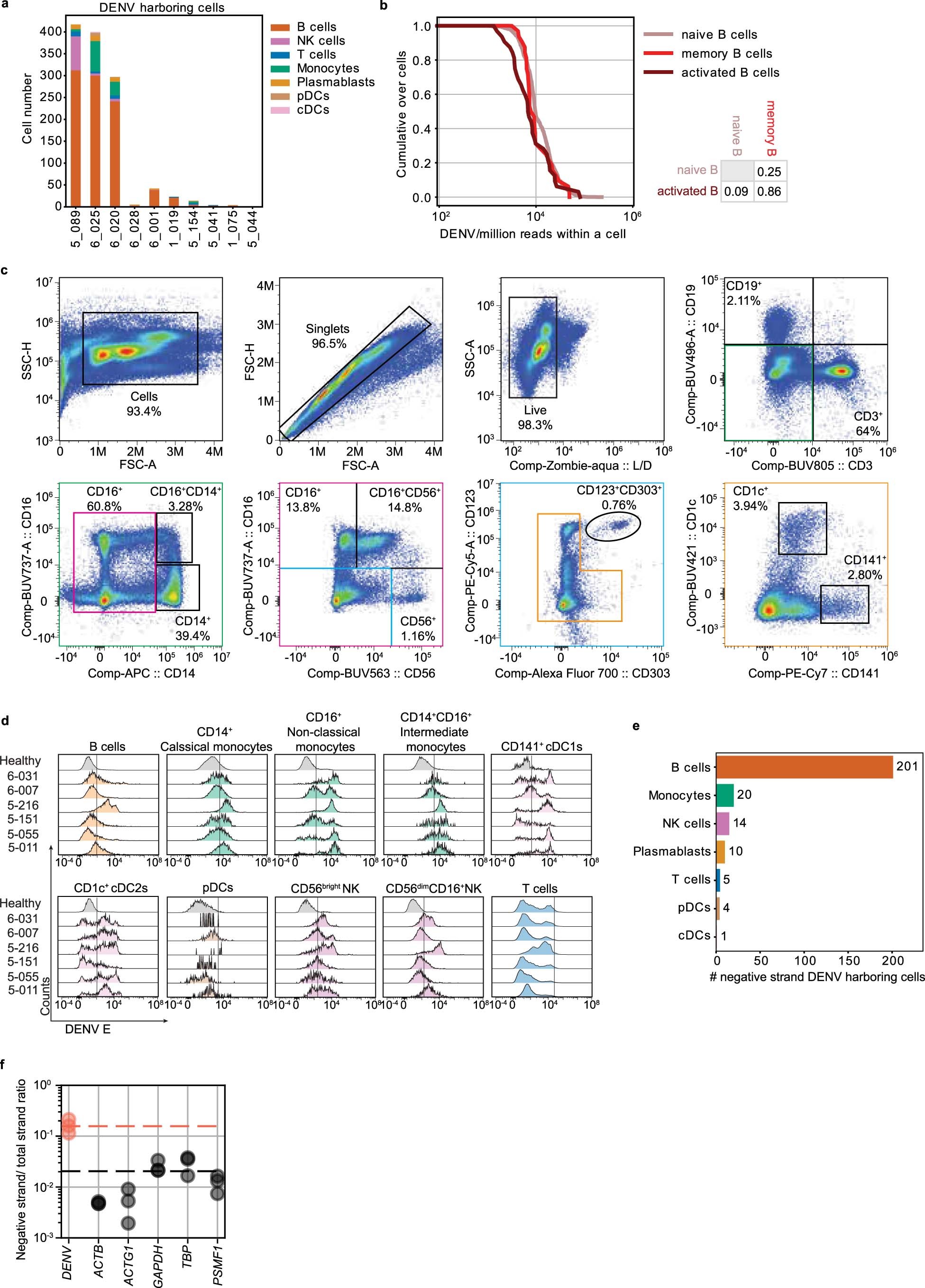 Extended Data Fig. 6: B cells from DENV-infected patients harbor replicating virus.