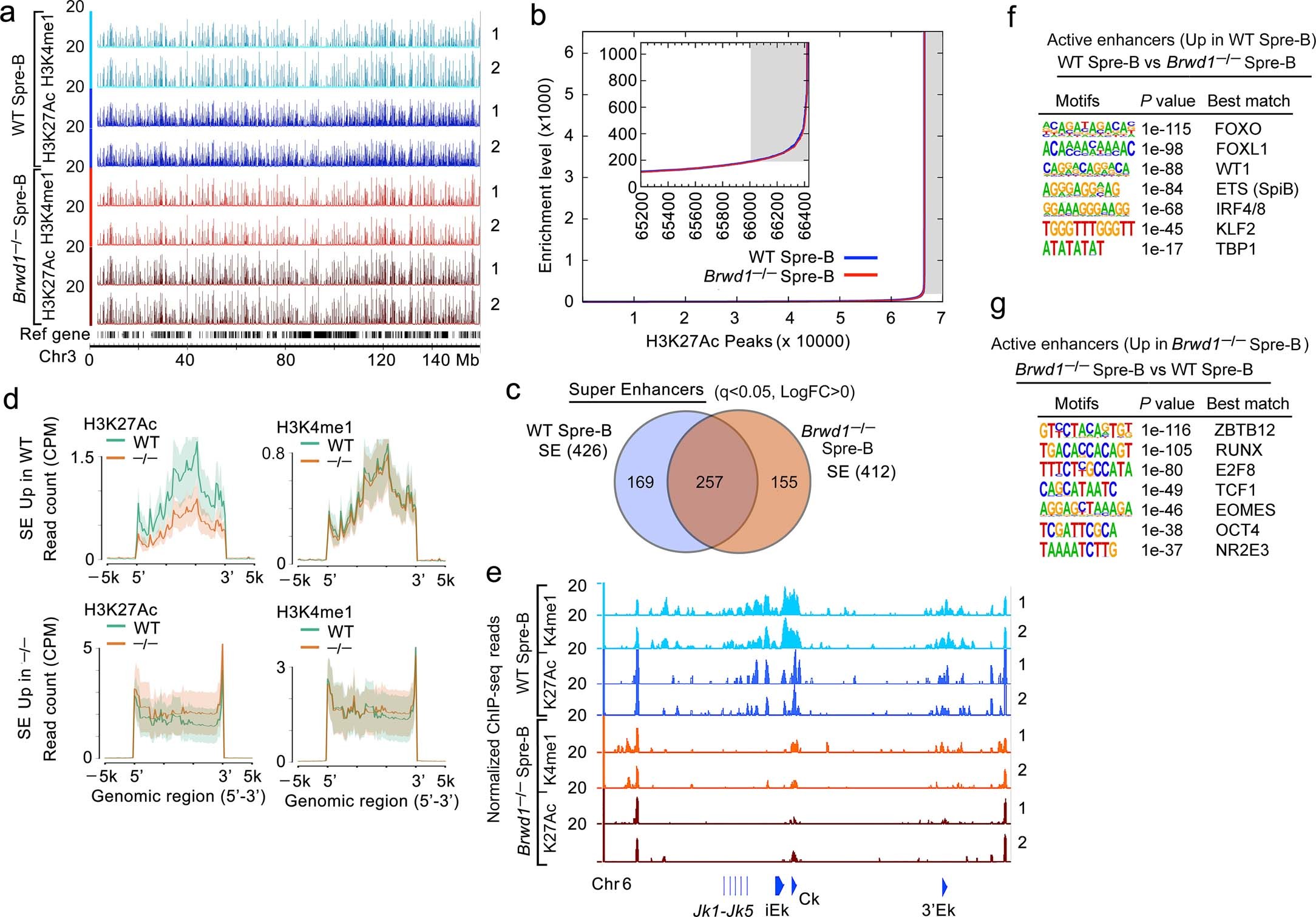Extended Data Fig. 3: BRWD1 regulates active enhancers including super enhancers.