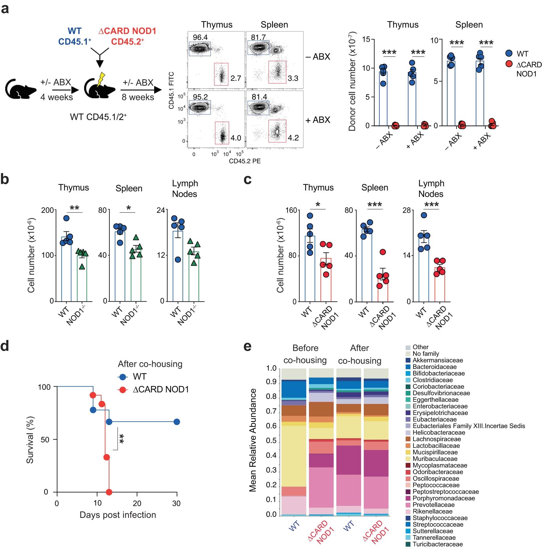 Extended Data Fig. 3: Lymphopenic status of NOD1−/− and ΔCARD NOD1 mice is not associated with gut microbiota composition.