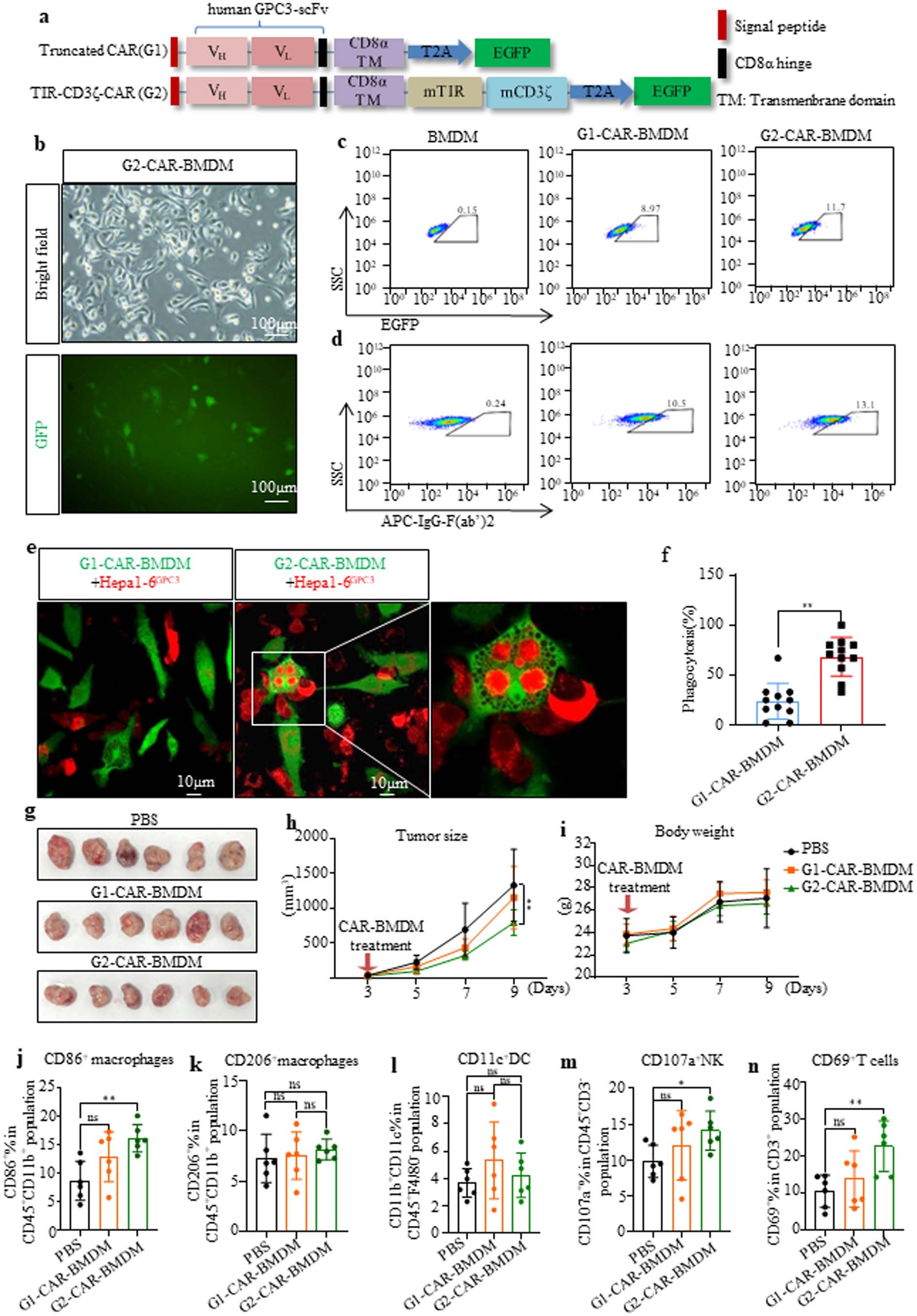 Extended Data Fig. 5: The second-generation CAR improved the TME.