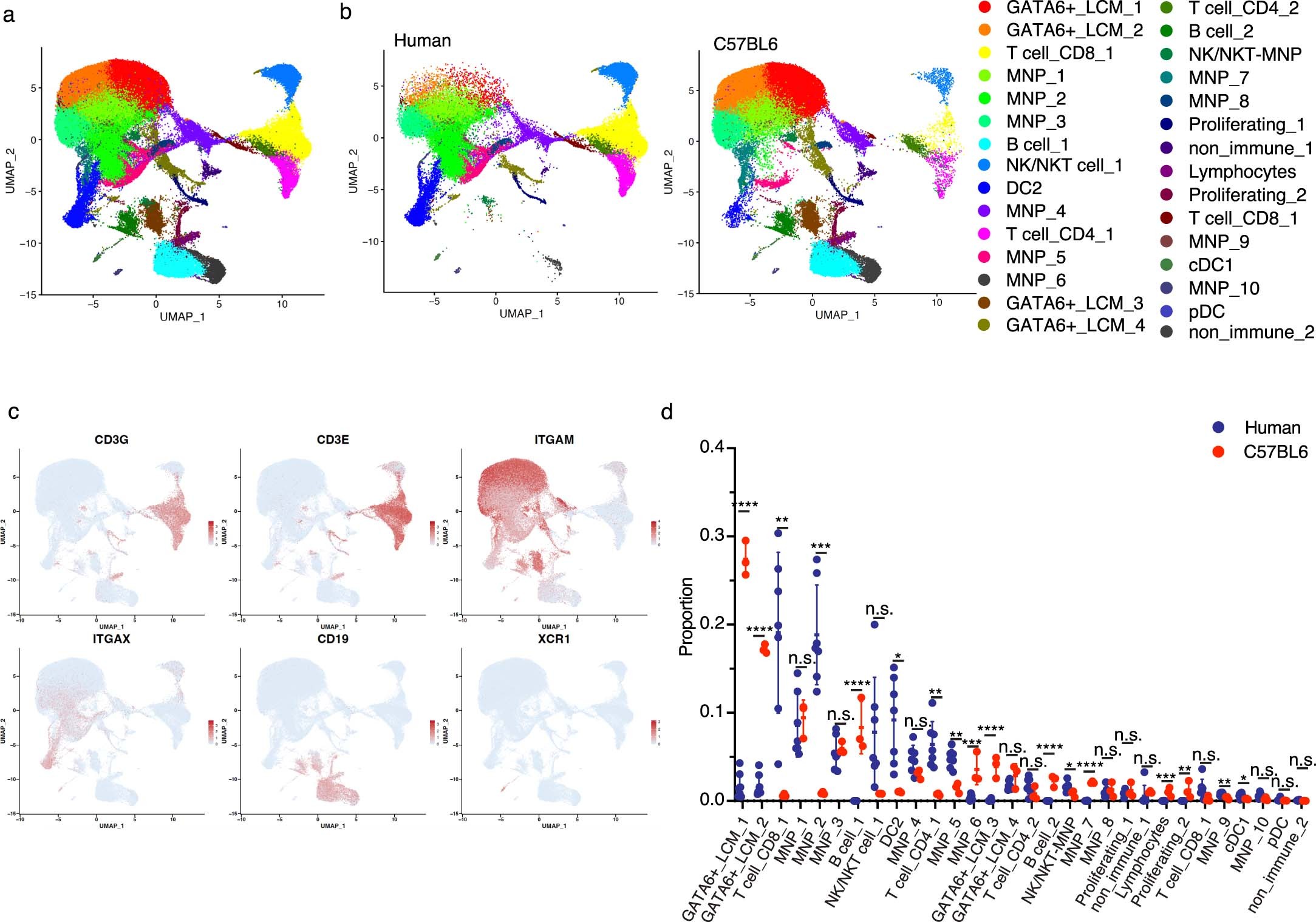 Extended Data Fig. 2: Human and mouse peritoneal immune cell composition is different.