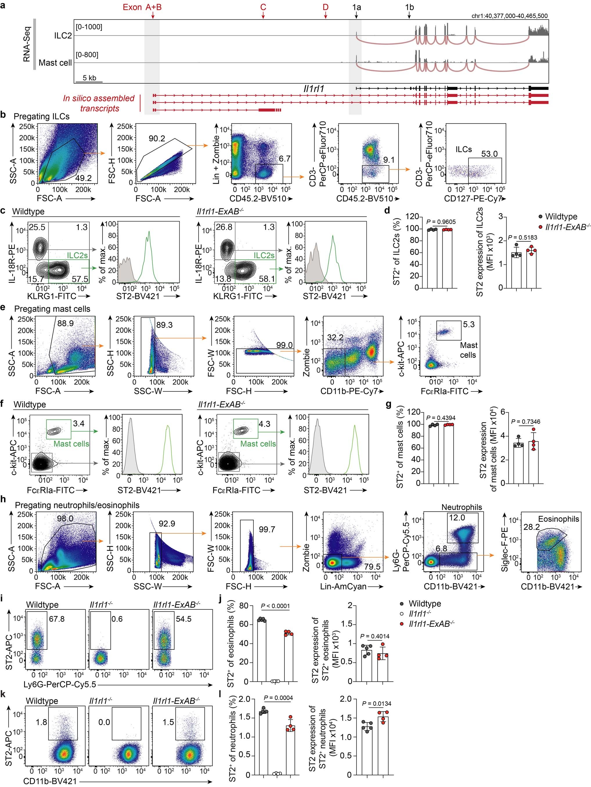 Extended Data Fig. 5: ST2 expression by ILC2s, mast cells, eosinophils, and neutrophils is largely unaffected by the type 1 Il1rl1 promoter deletion.