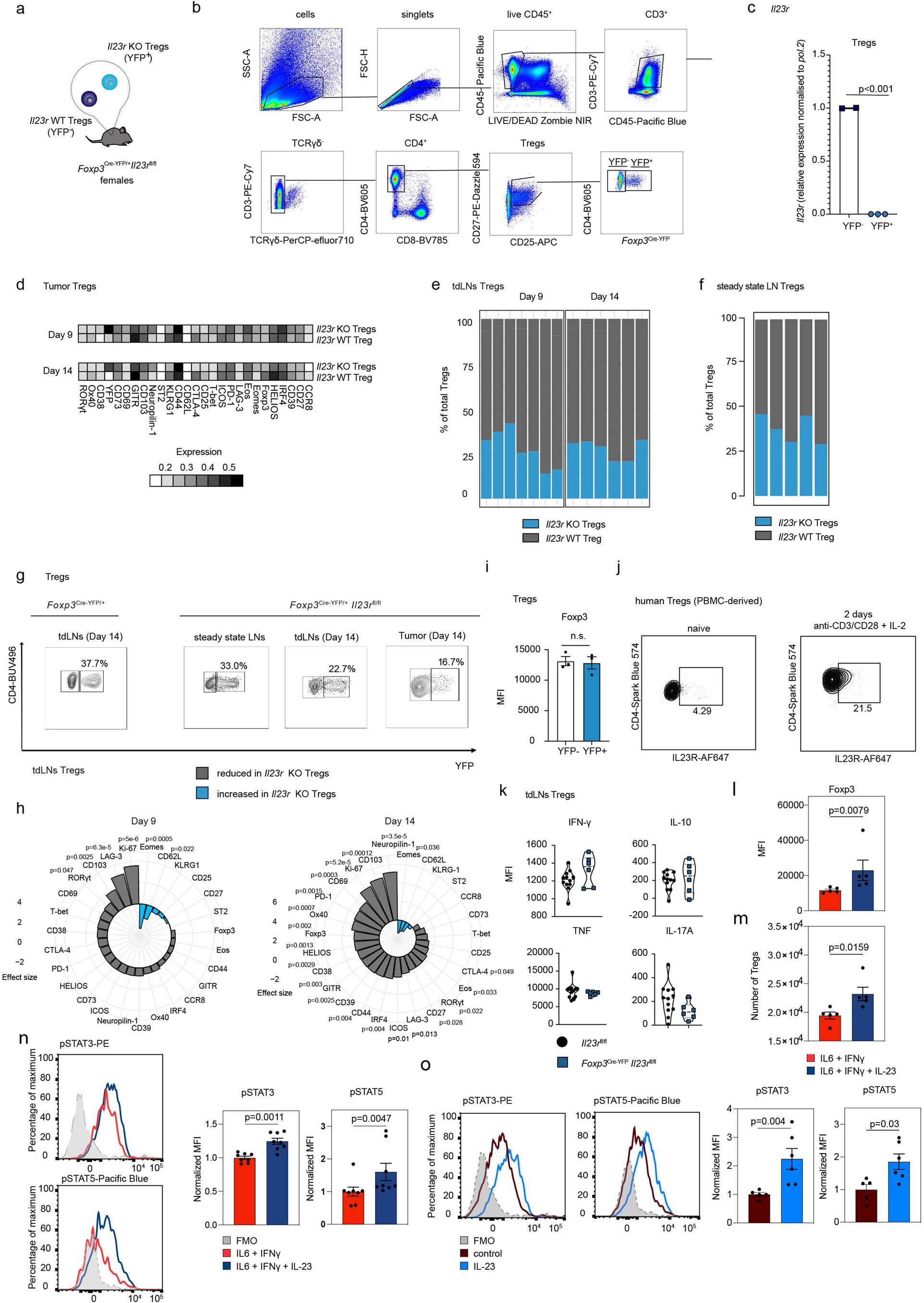 Extended Data Fig. 4: IL23R signaling confers a selective advantage on eTreg cells.