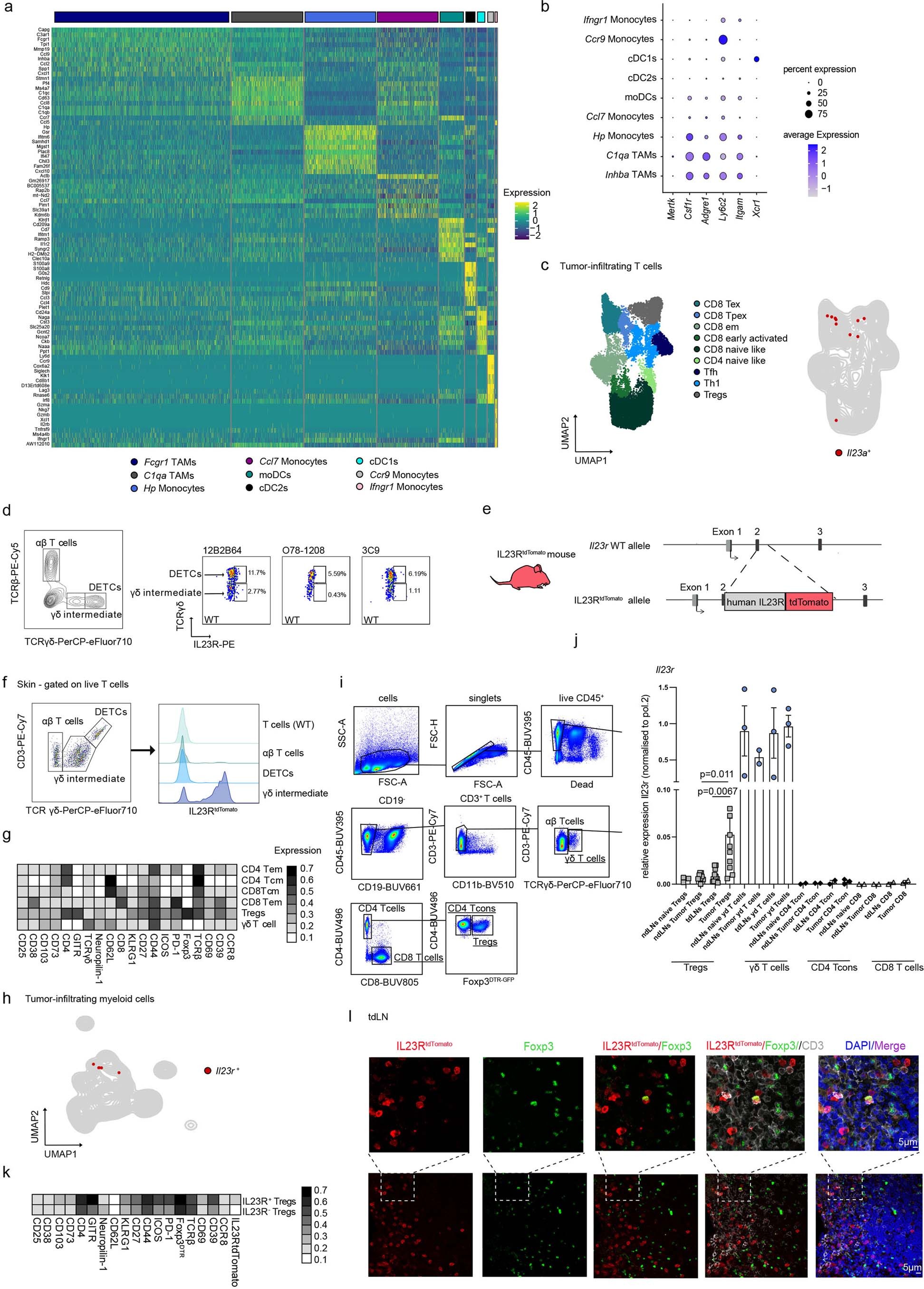 Extended Data Fig. 1: IL23R marks a highly suppressive Treg cell subset in the murine TME.