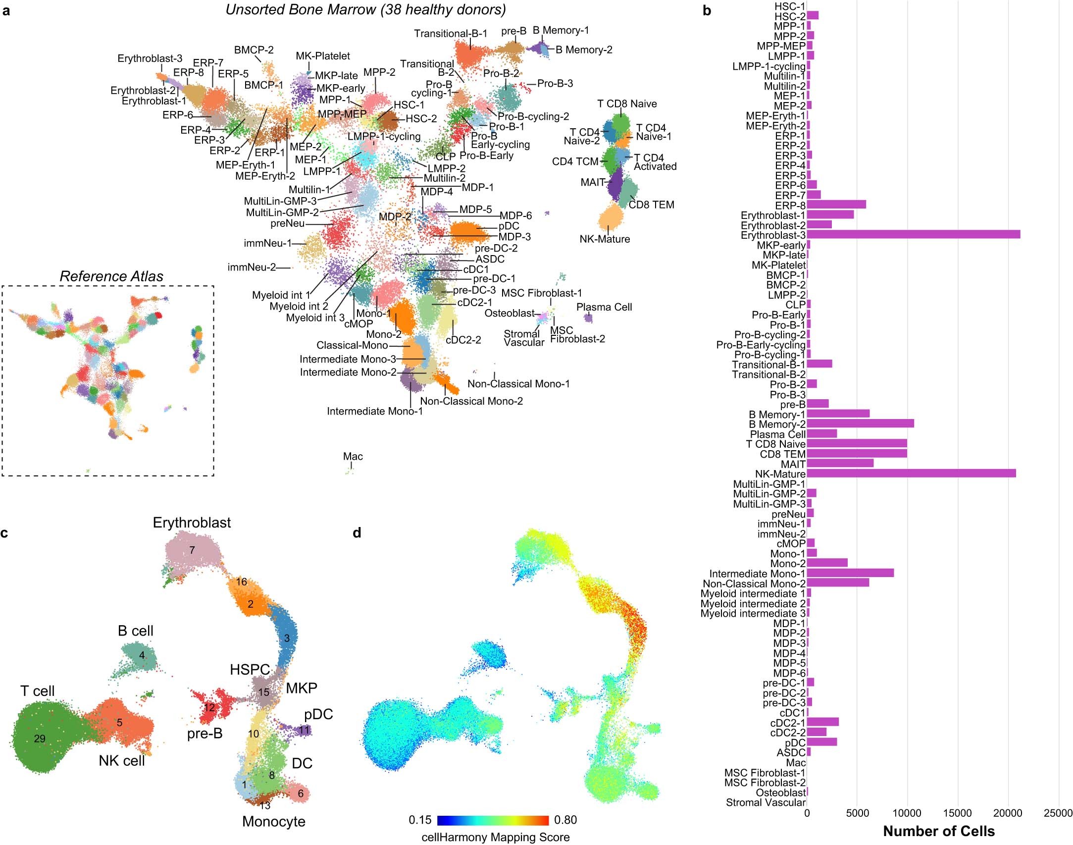 Extended Data Fig. 8: Validation of CITE-Seq evidenced cell populations in bone marrow biopsies from 38 donors.