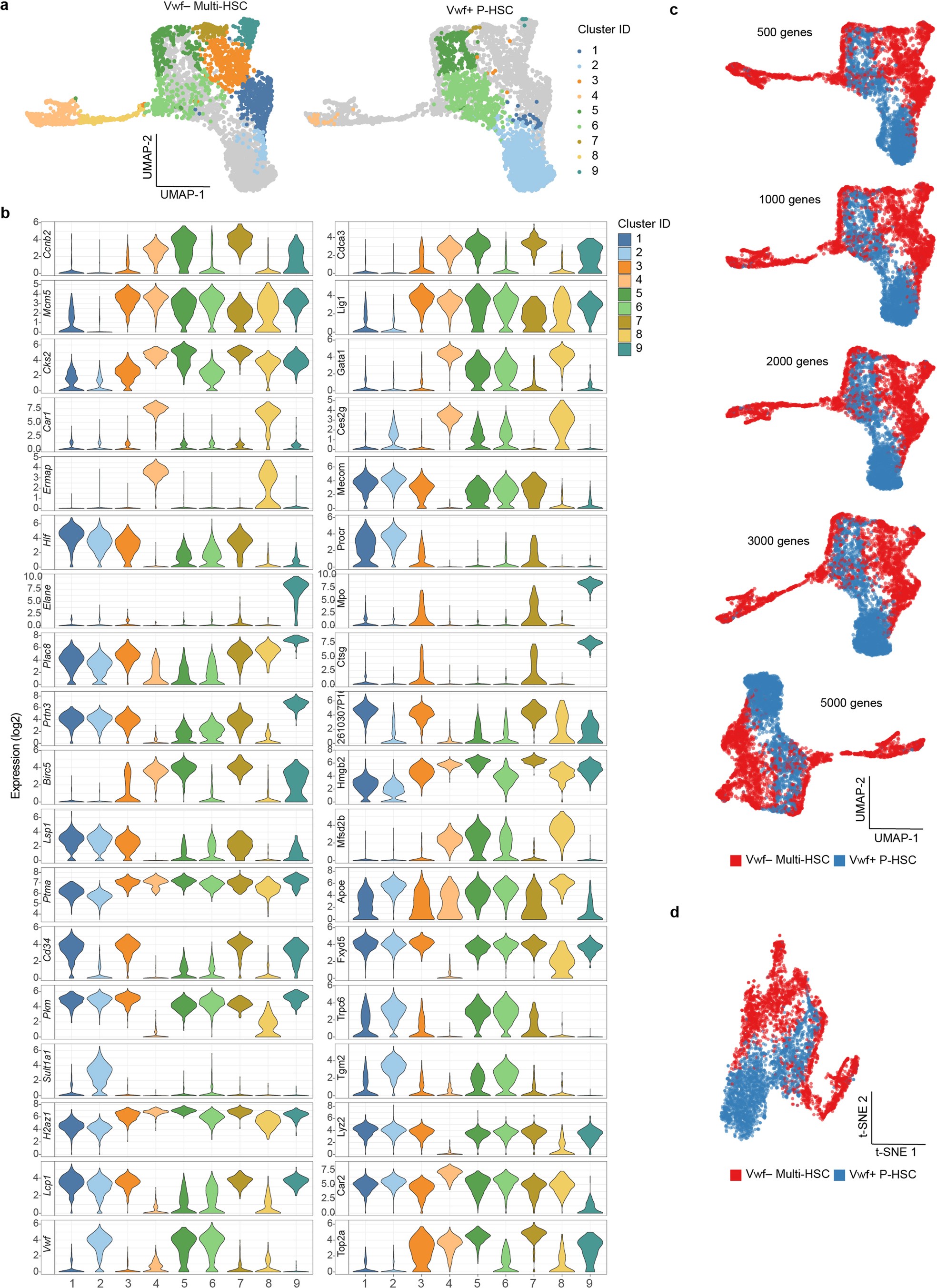 Extended Data Fig. 4: Nearest neighbor clustering and cluster markers.