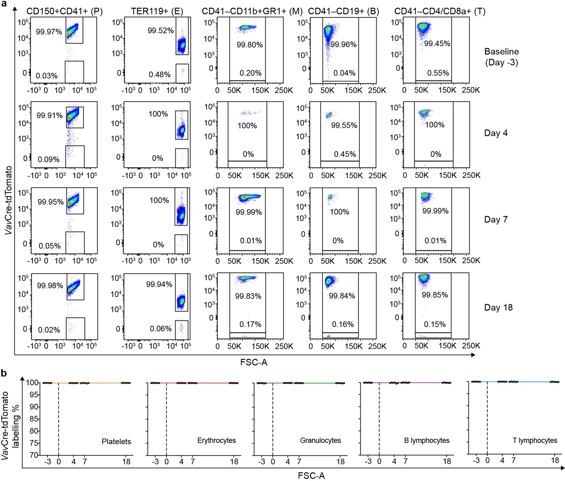 Extended Data Fig. 9: Blood lineage analysis of VavCretg/+ R26Tom/+ mice before and after Cyclophosphamide treatment.