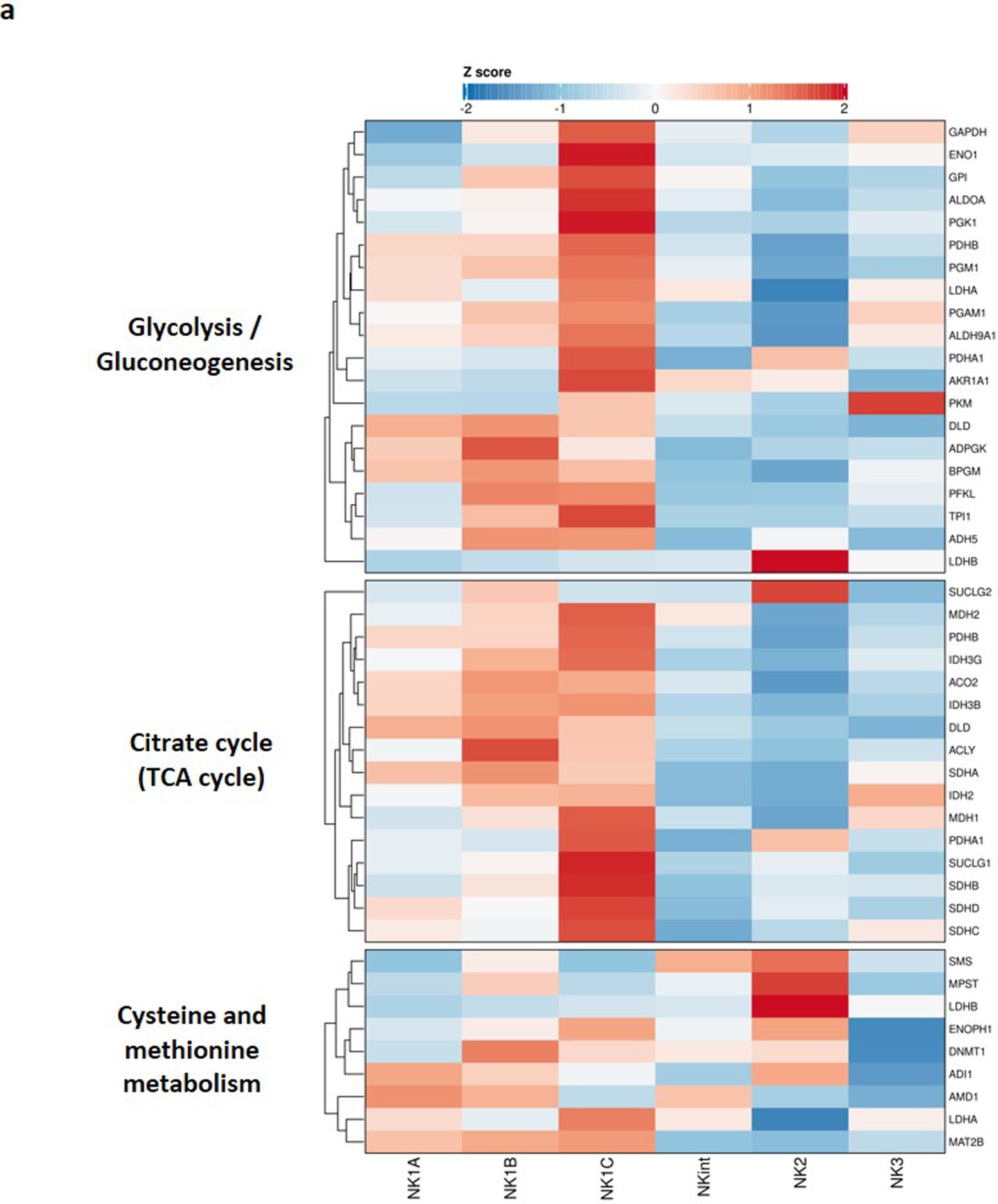 Extended Data Fig. 5: Markers of interest, functions and metabolism characterizing NK cell populations.