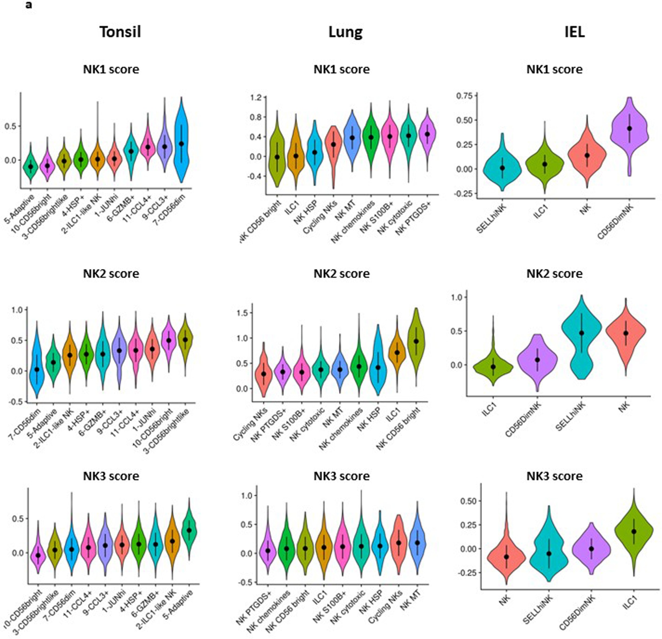 Extended Data Fig. 8: Distribution of NK1, NK2 and NK3 cell subsets in tissues.