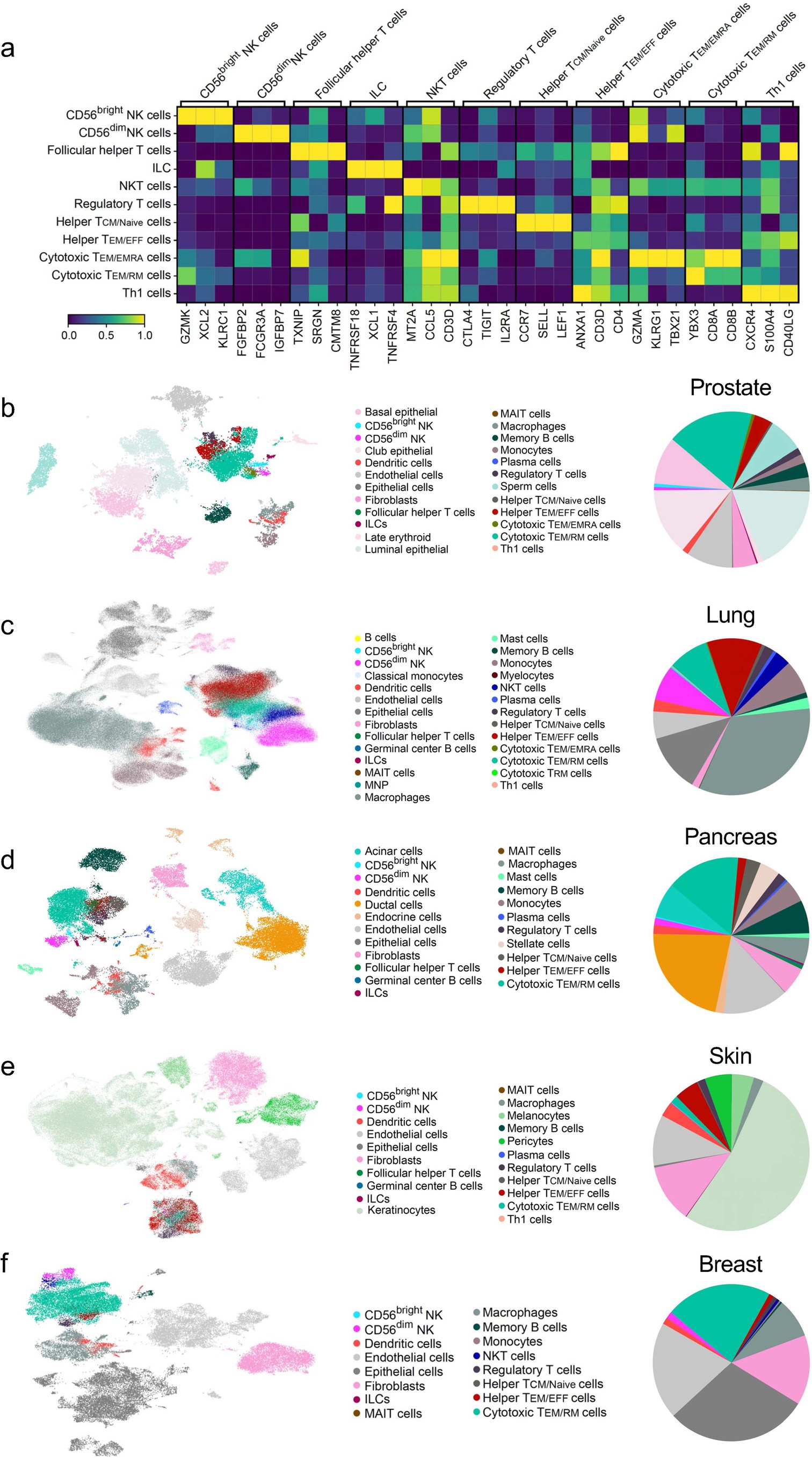 Extended Data Fig. 3: Healthy tissue dataset annotation using CellTypist.