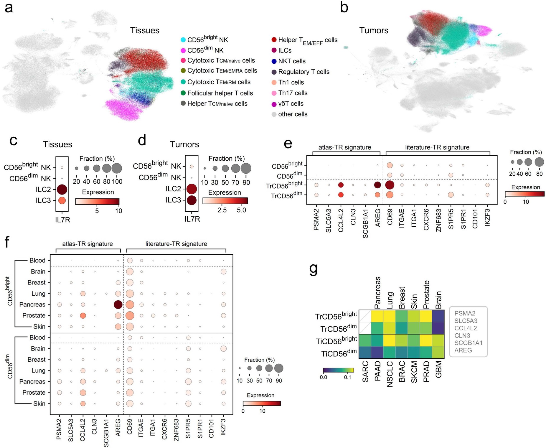 Extended Data Fig. 5: Tissue-residency scoring of NK cells.