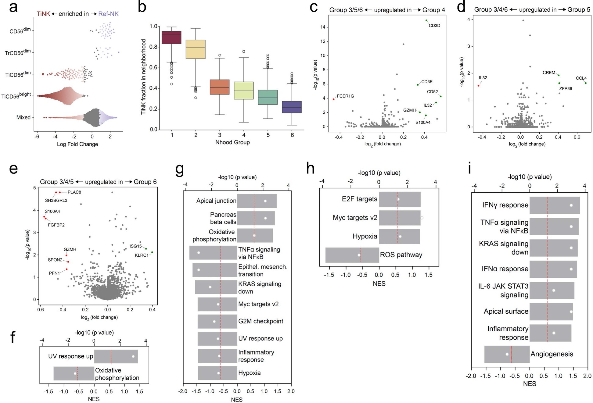 Extended Data Fig. 7: Characterization of cellular states of NK cells identified in pan-cancer cell atlas.