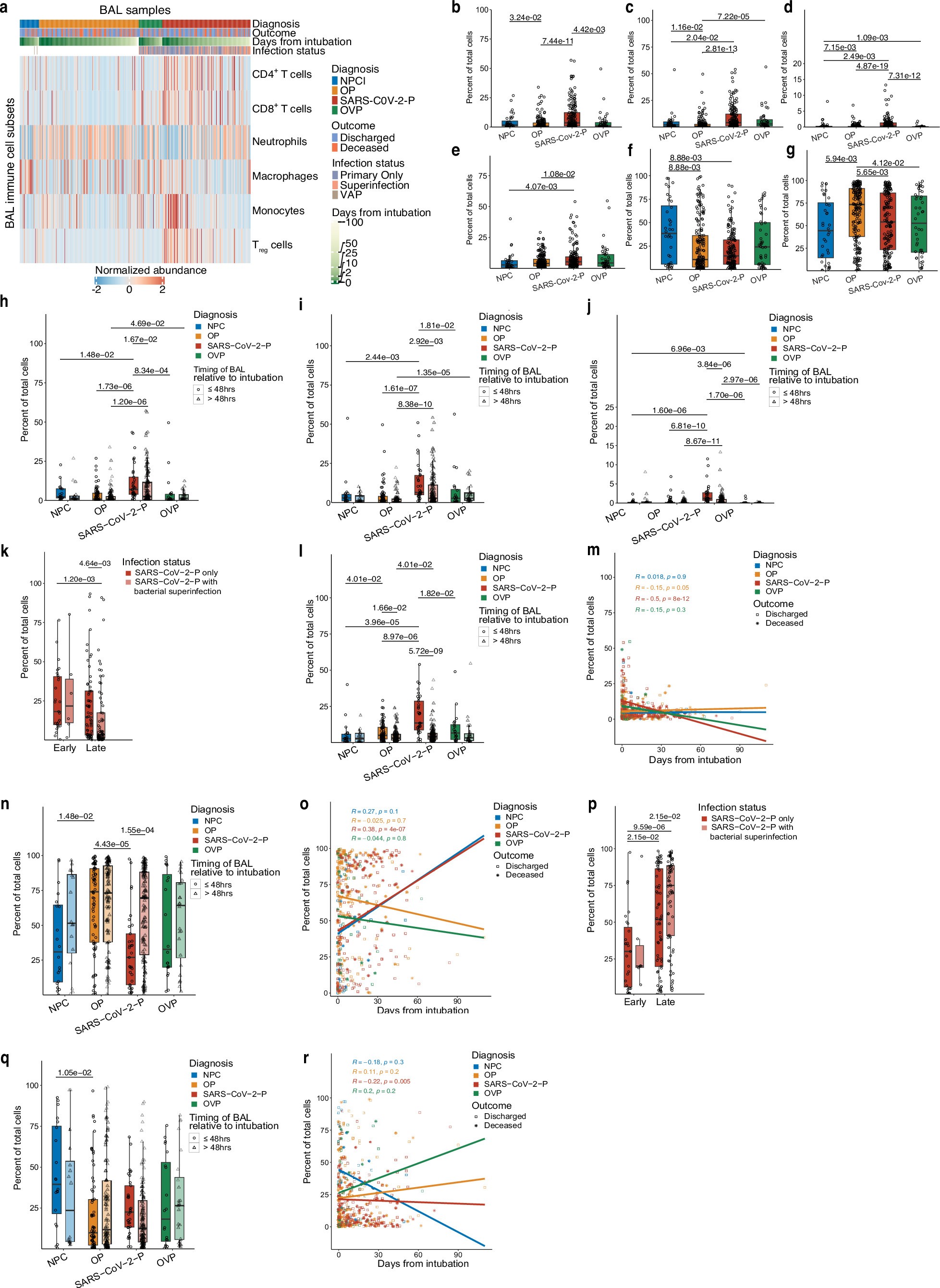 Extended Data Fig. 2: SARS-CoV-2-P is characterized by a lymphomonocytic alveolar infiltrate early following intubation.